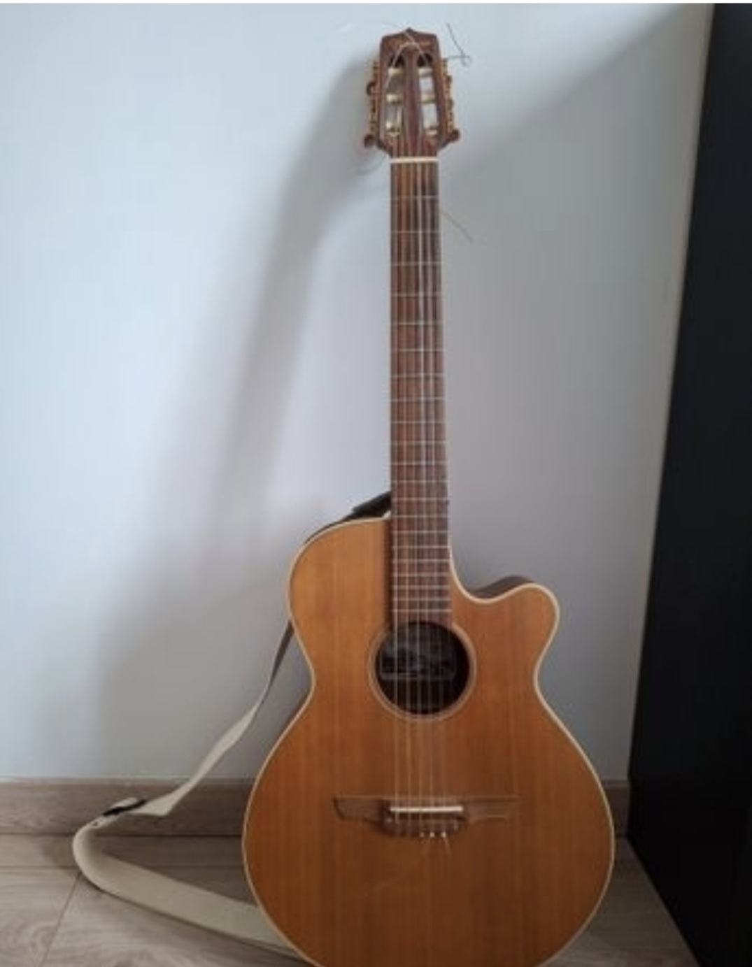 Vends guitare électro-acoustique Takamine EAN60C + sangle + case Gator
