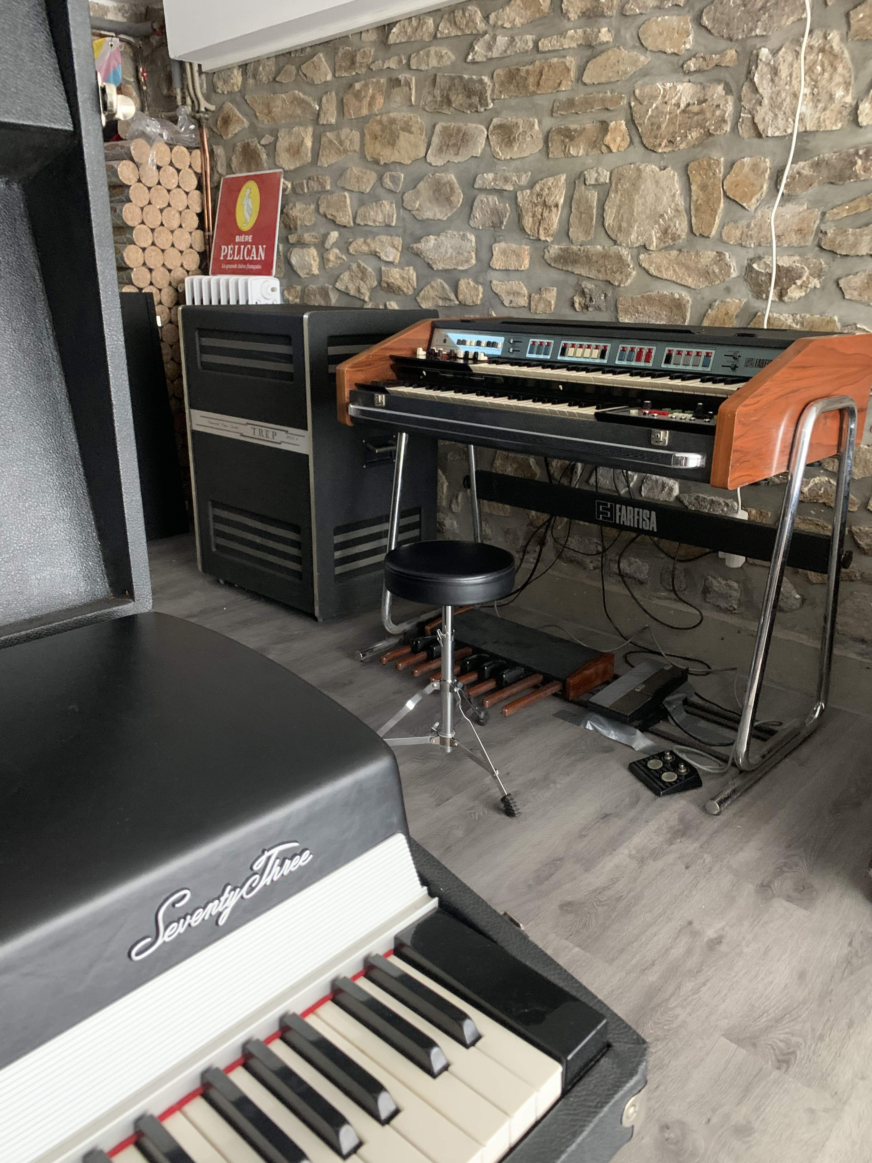Farfisa Professionnal 110 avec Leslie TREP 2002S