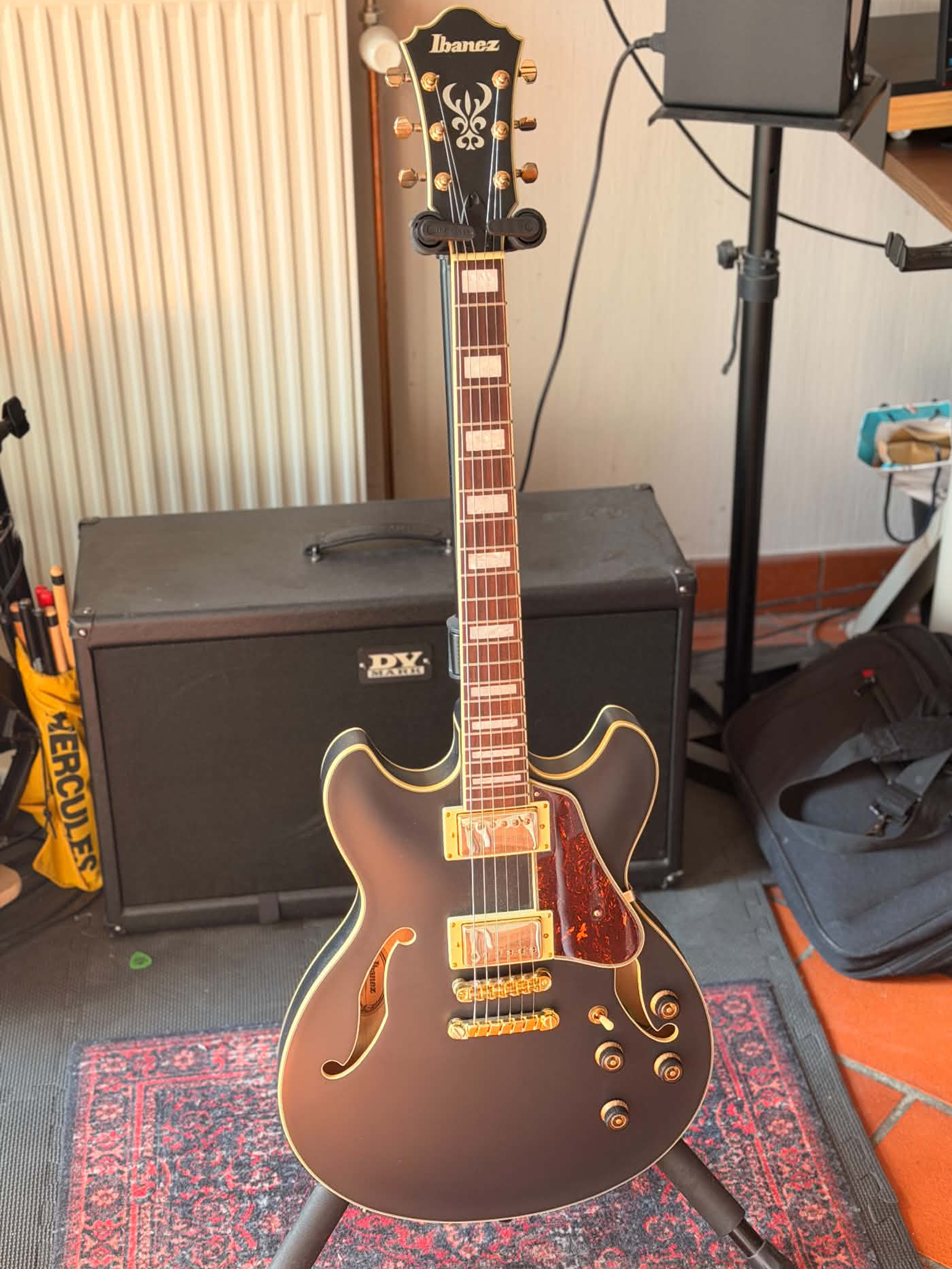 Ibanez AS73G - Type ES