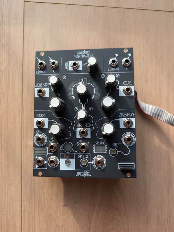 Make Noise Morphagene