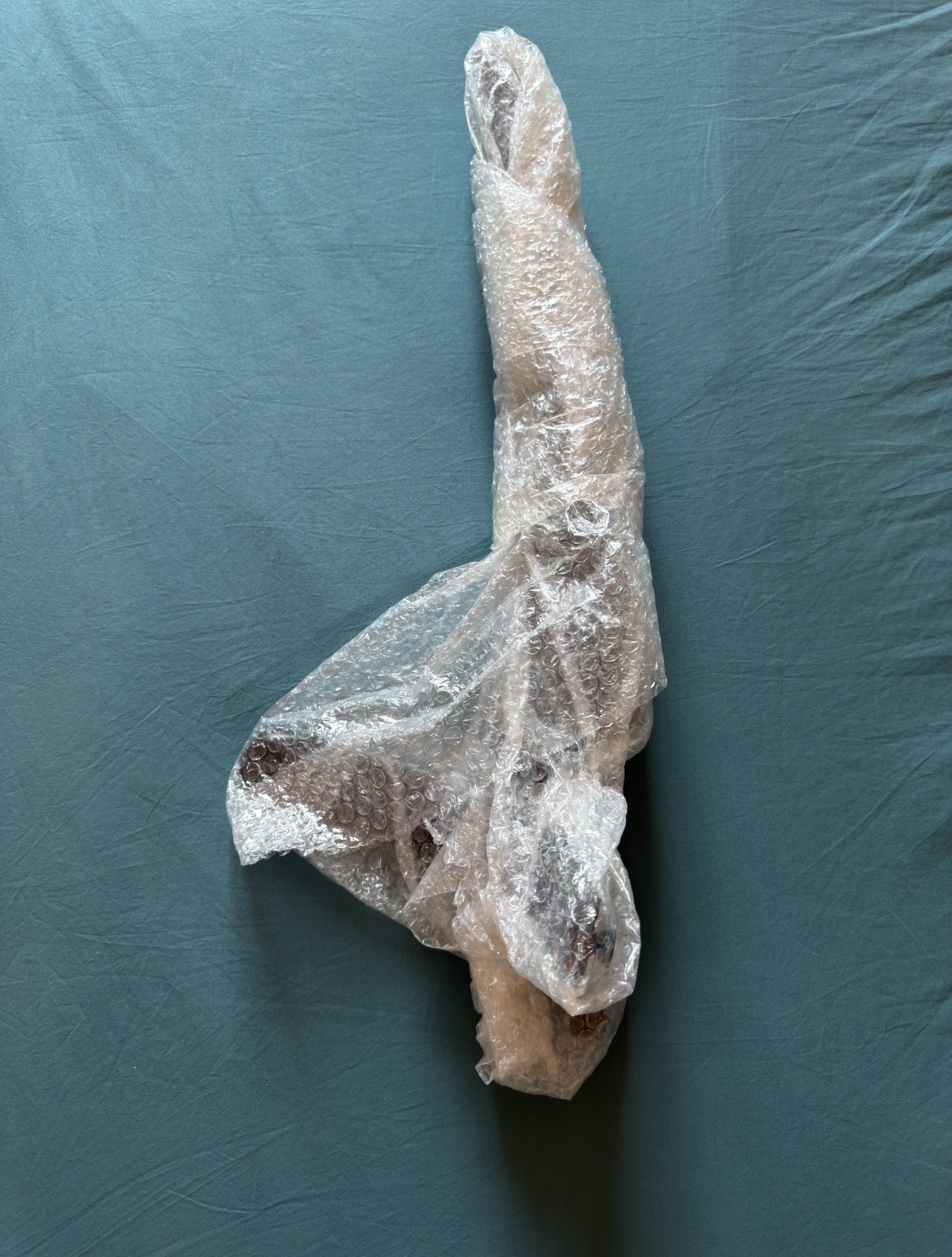 IMG 7538