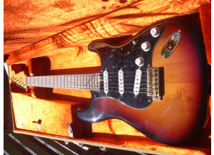 Fender Stevie Ray Vaughan Stratocaster- 3-color Sunburst Pau Ferro