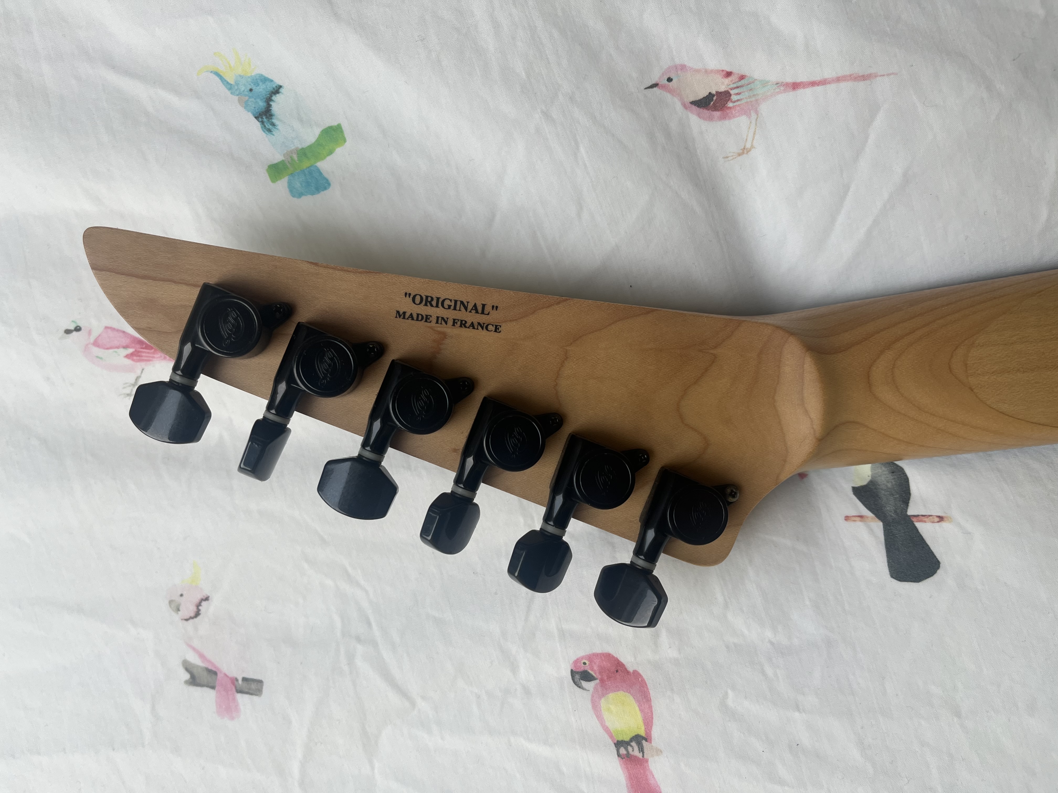 IMG 2472