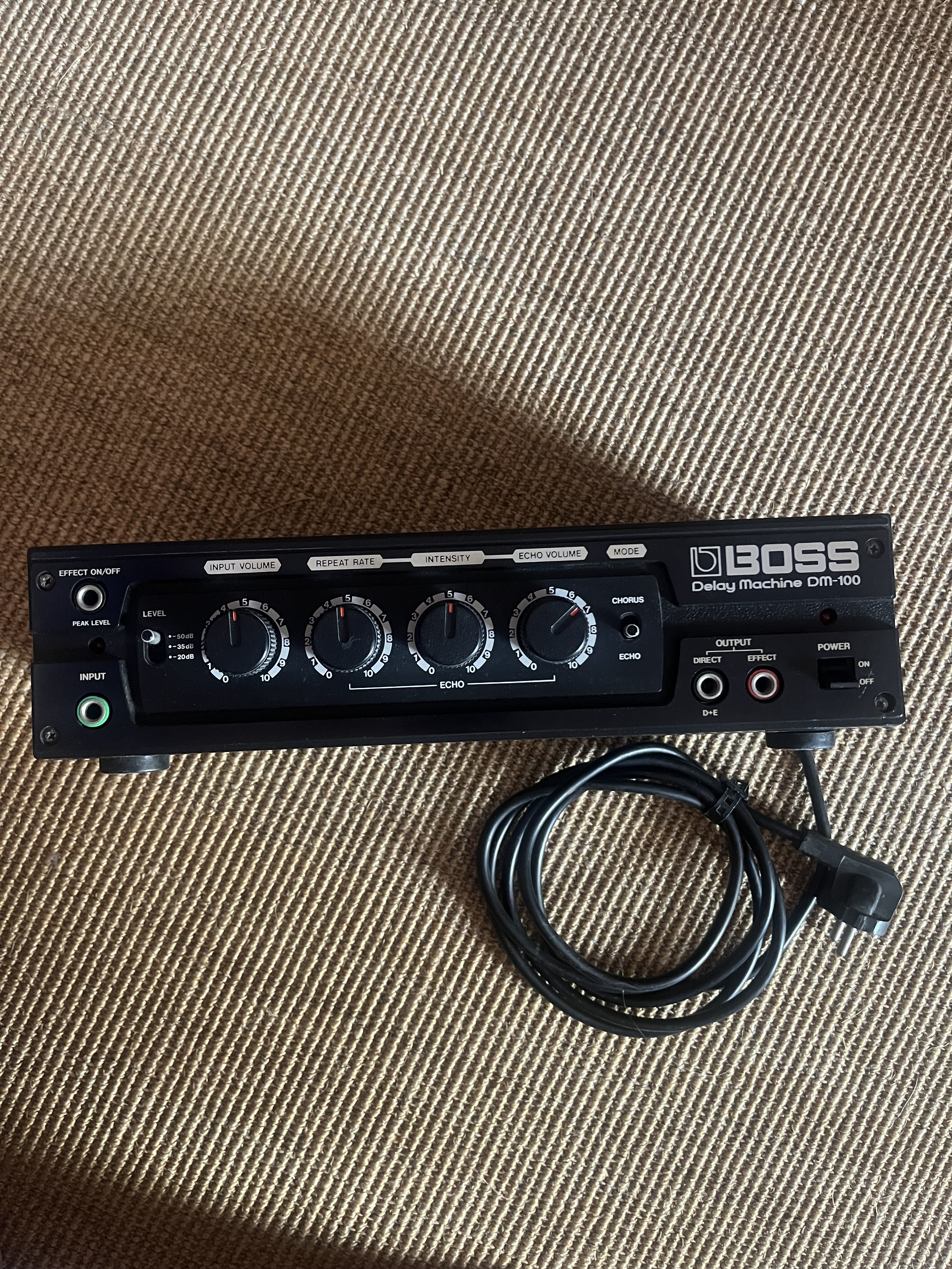 Boss DM100 