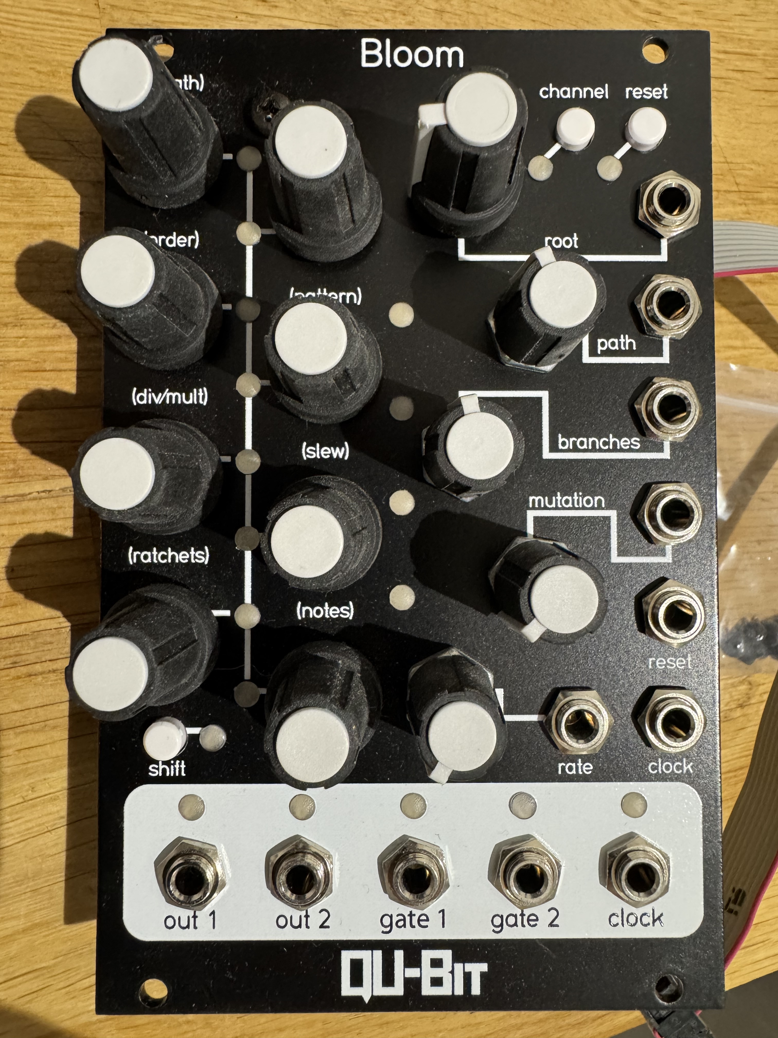 Qu-Bit Electronix Bloom (3370)