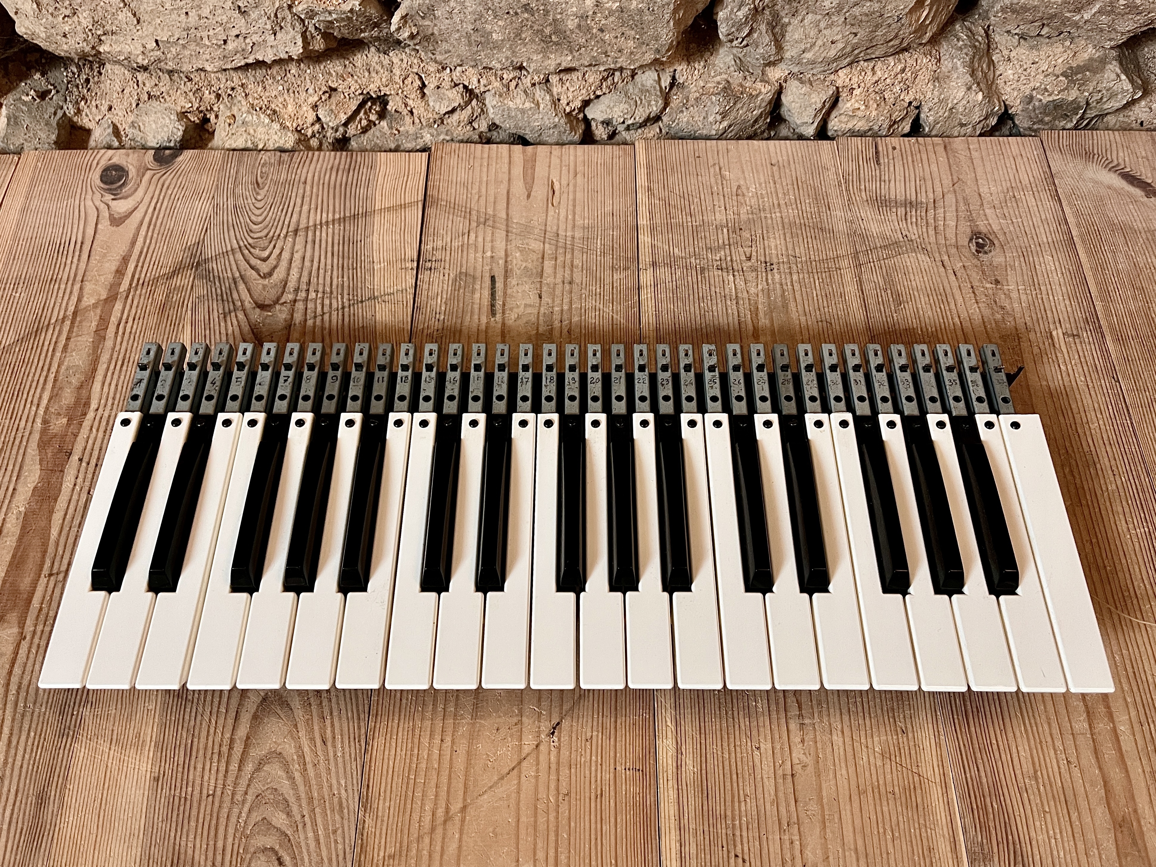 Clavier Moog Satellite 