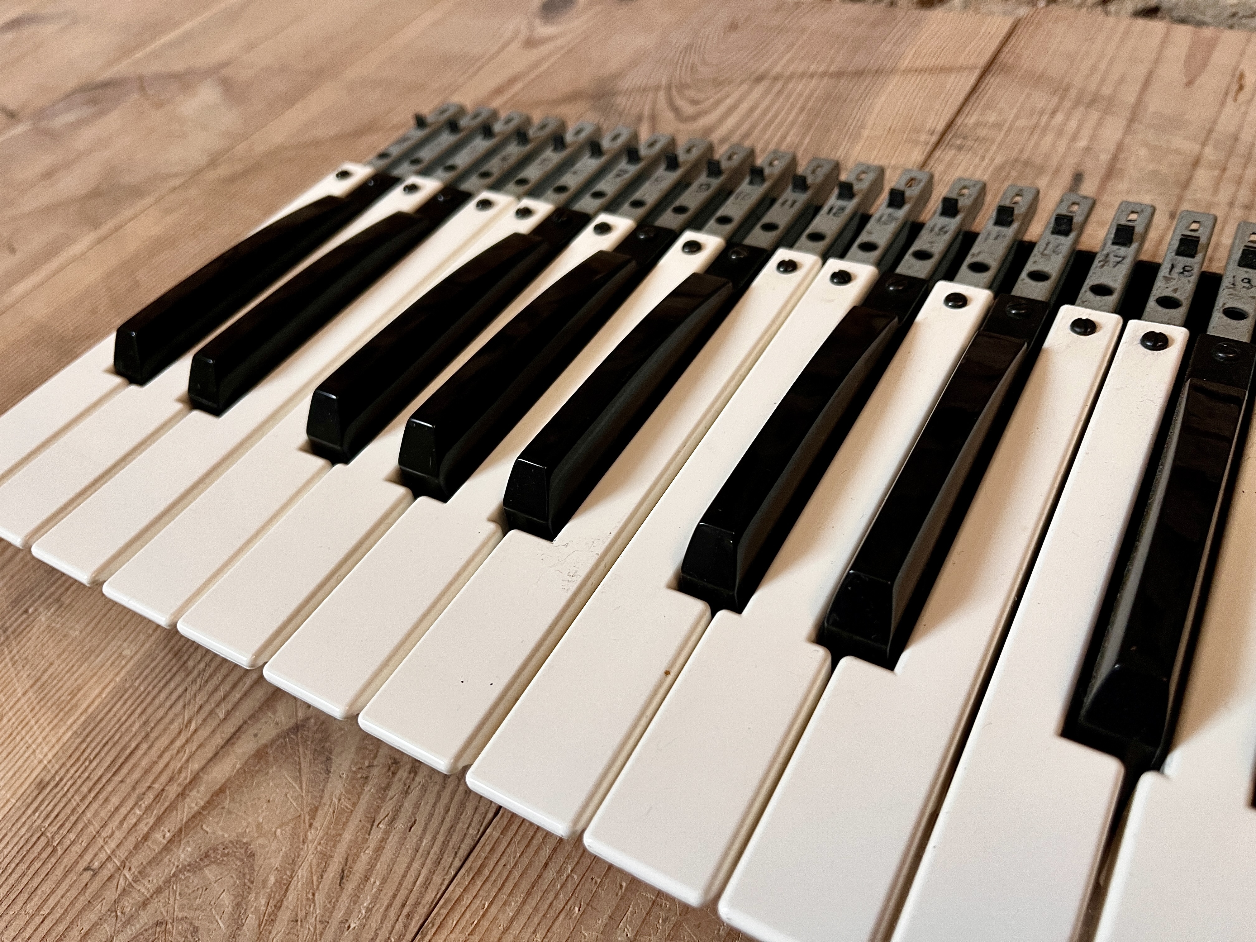Moog Music Satellite (10597)