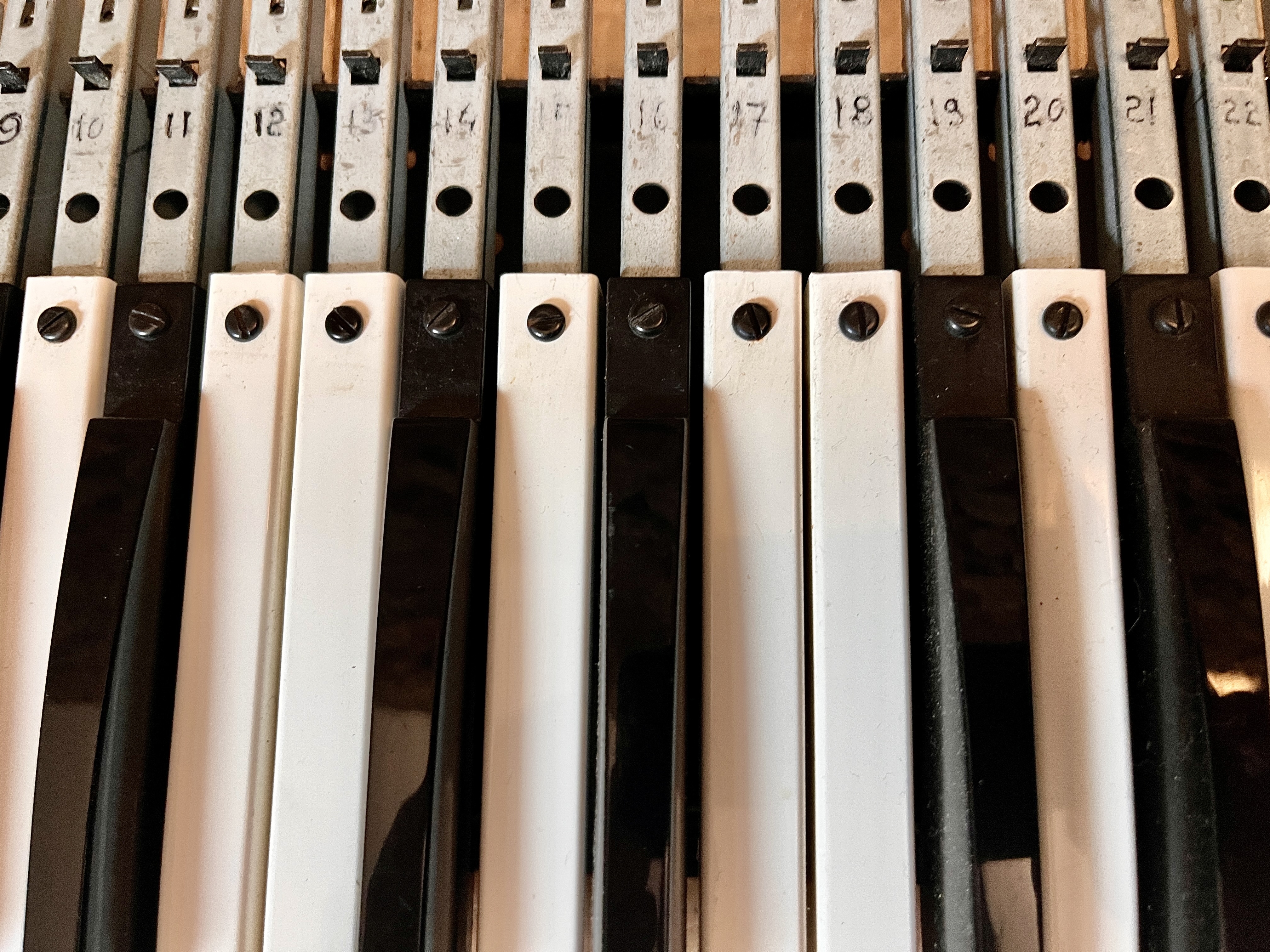 Moog Music Satellite (75929)
