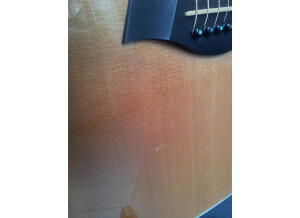 Taylor 814ce (85839)