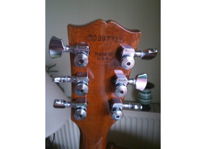 Gibson ES-335 Reissue (19851)