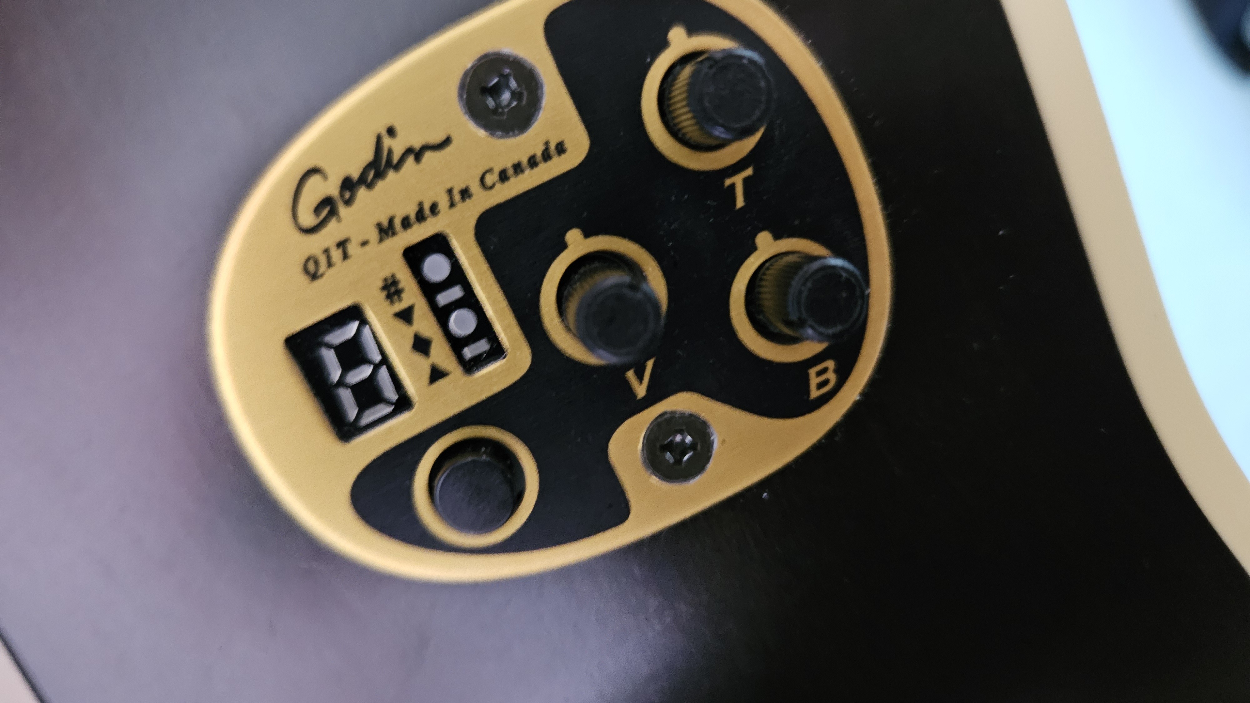 Art & Lutherie Legacy Q1T (24083)