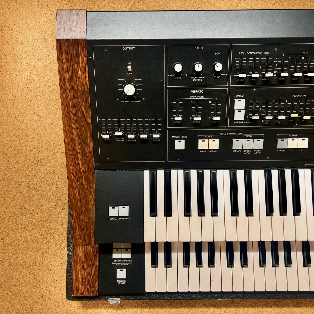 Yamaha SK50D (47163)