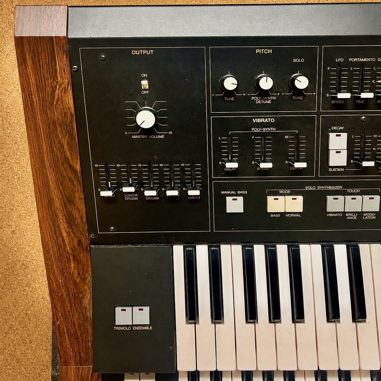 Yamaha SK50D (4856)
