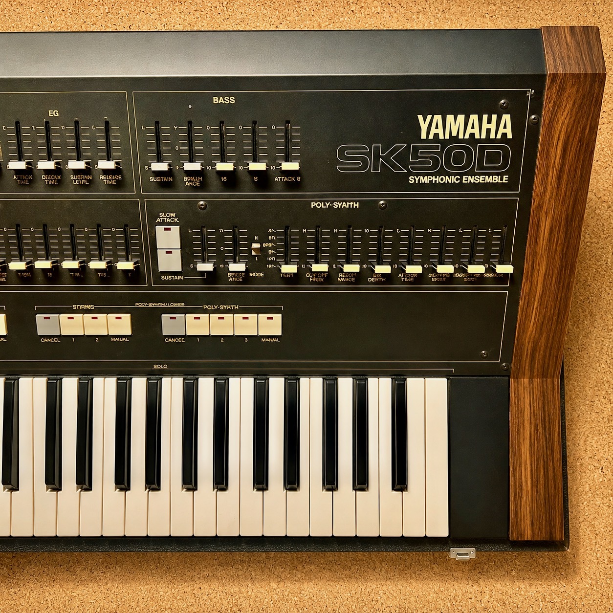 Yamaha SK50D (69019)