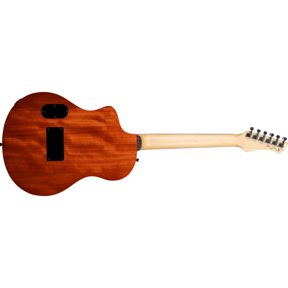 Ortega RTPG-LS2 TourPlayer : RTPG-LS2 TourPlayerREAR