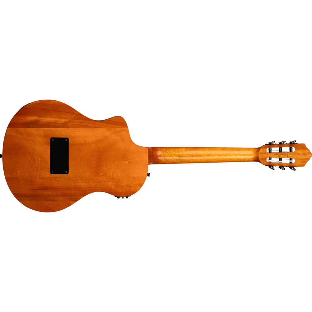 Ortega RTP-LTD TourPlayer : RTP-LTD TourPlayerREAR