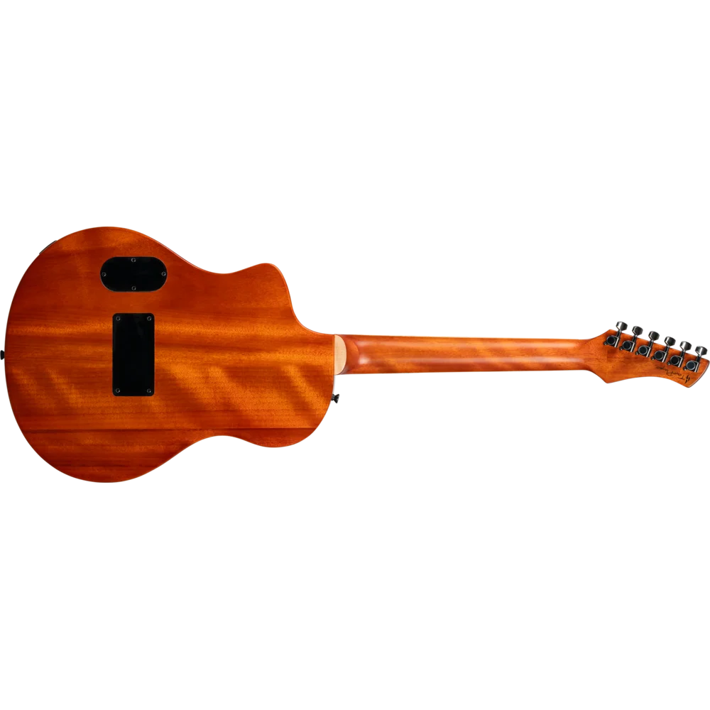 Ortega RTPG-LS1 TourPlayer : RTP-LS1 TourPlayerREAR