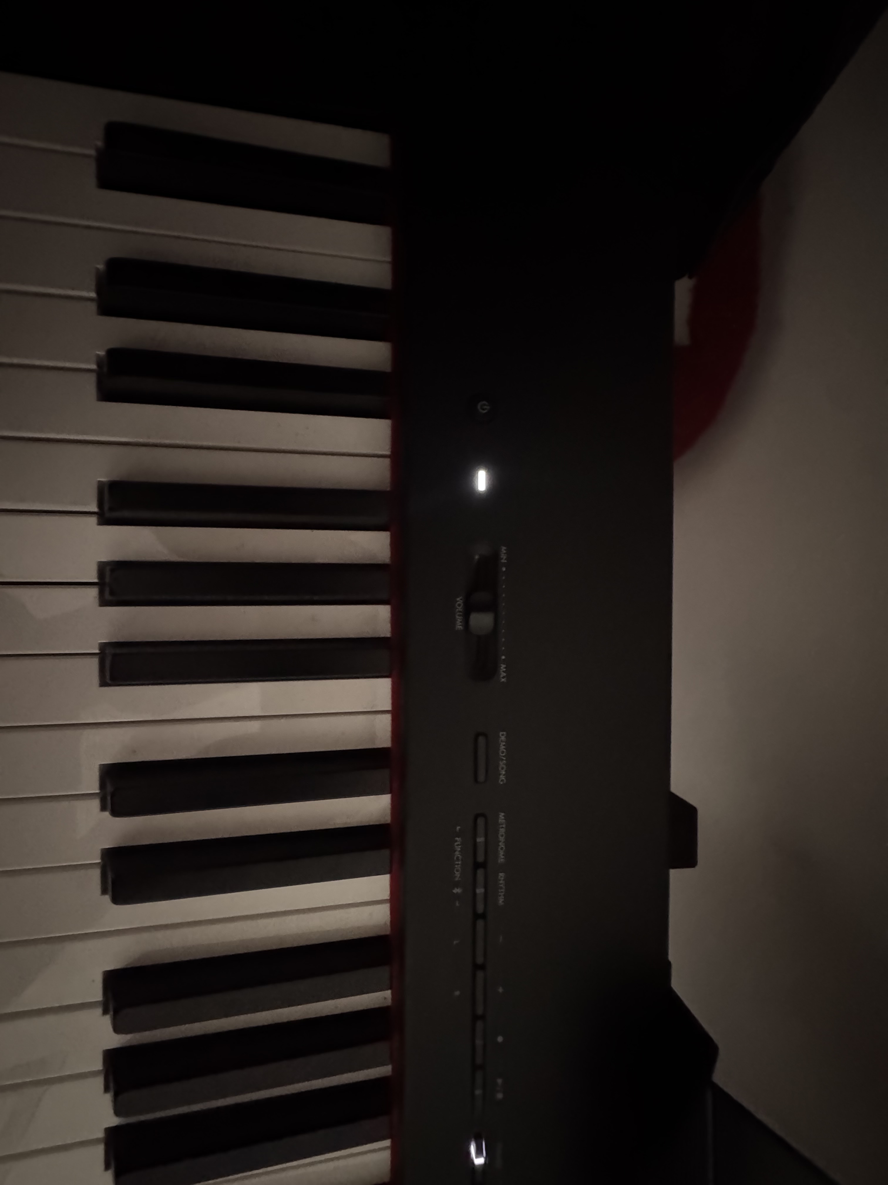 IMG 7551