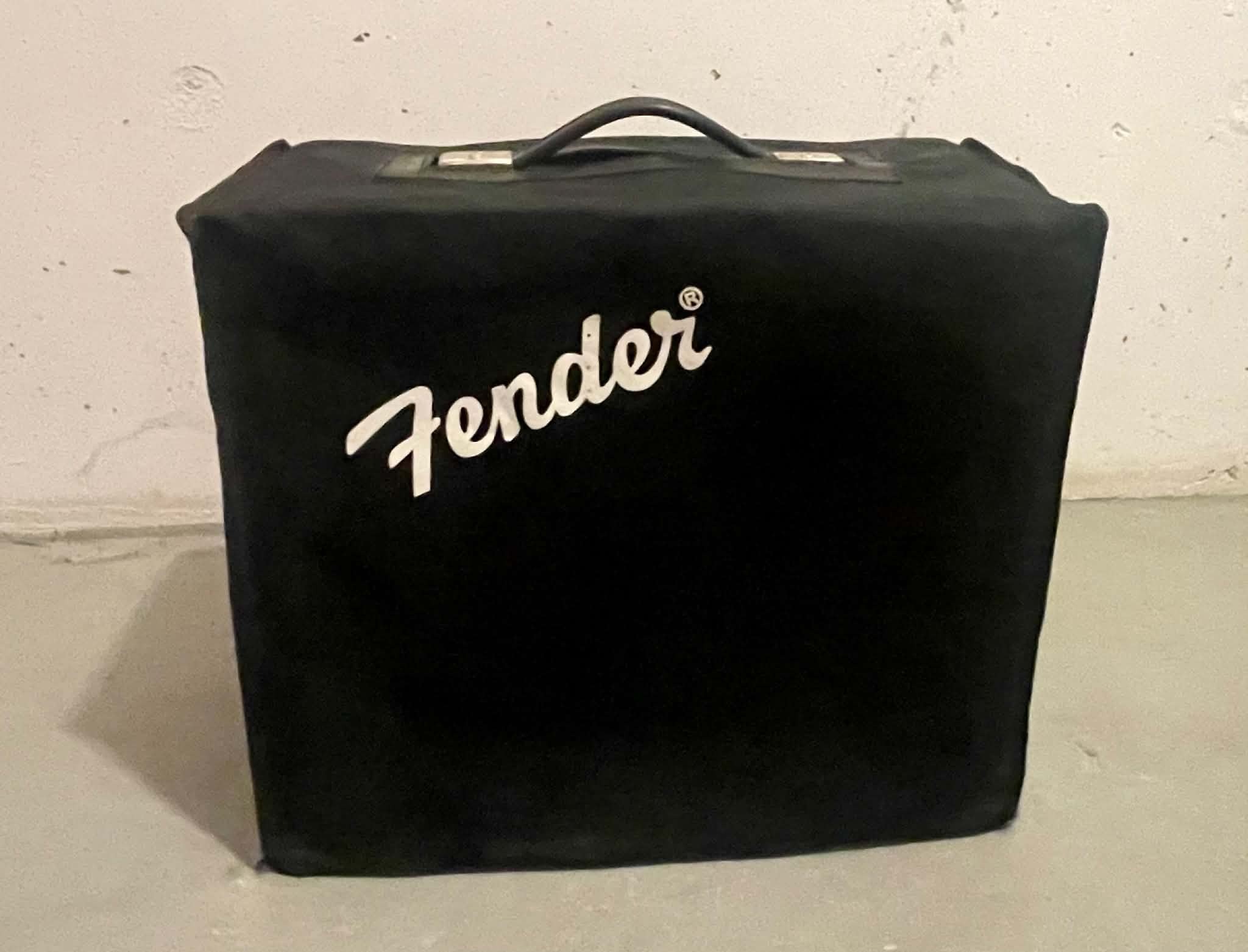 Fender Blues Junior - housse