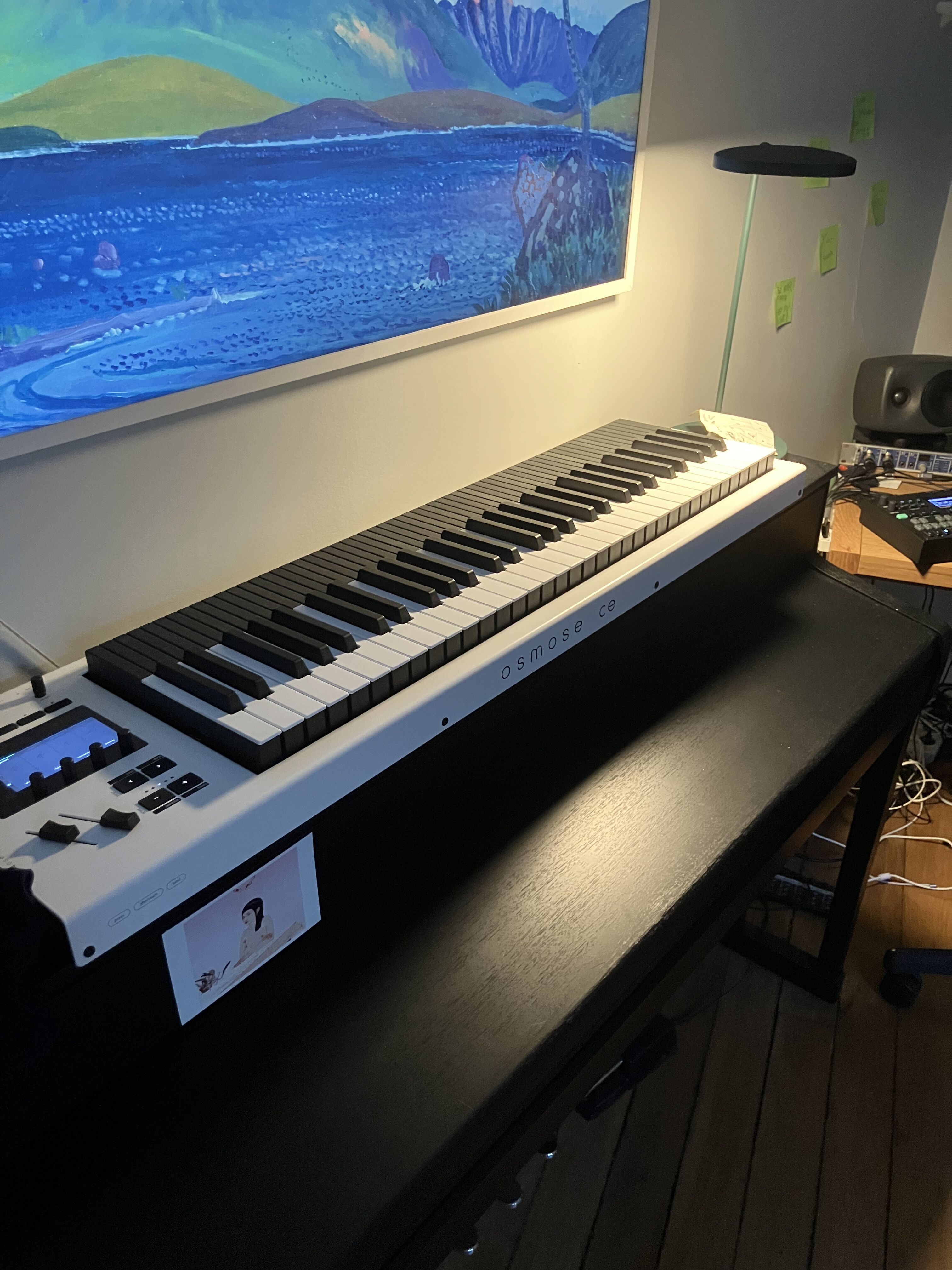 Vends Osmose CE 61