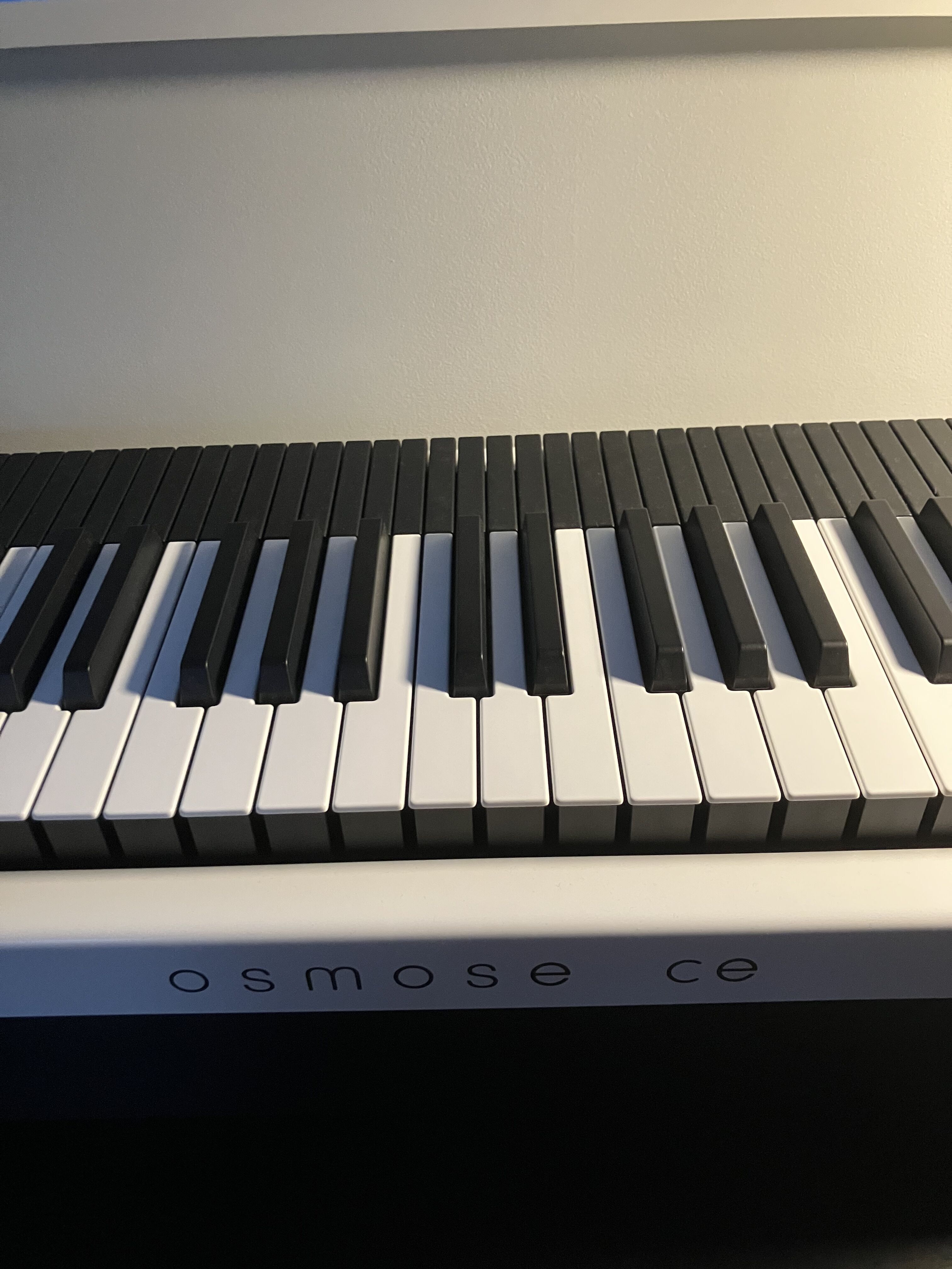 Expressive E Osmose CE 61 (12)