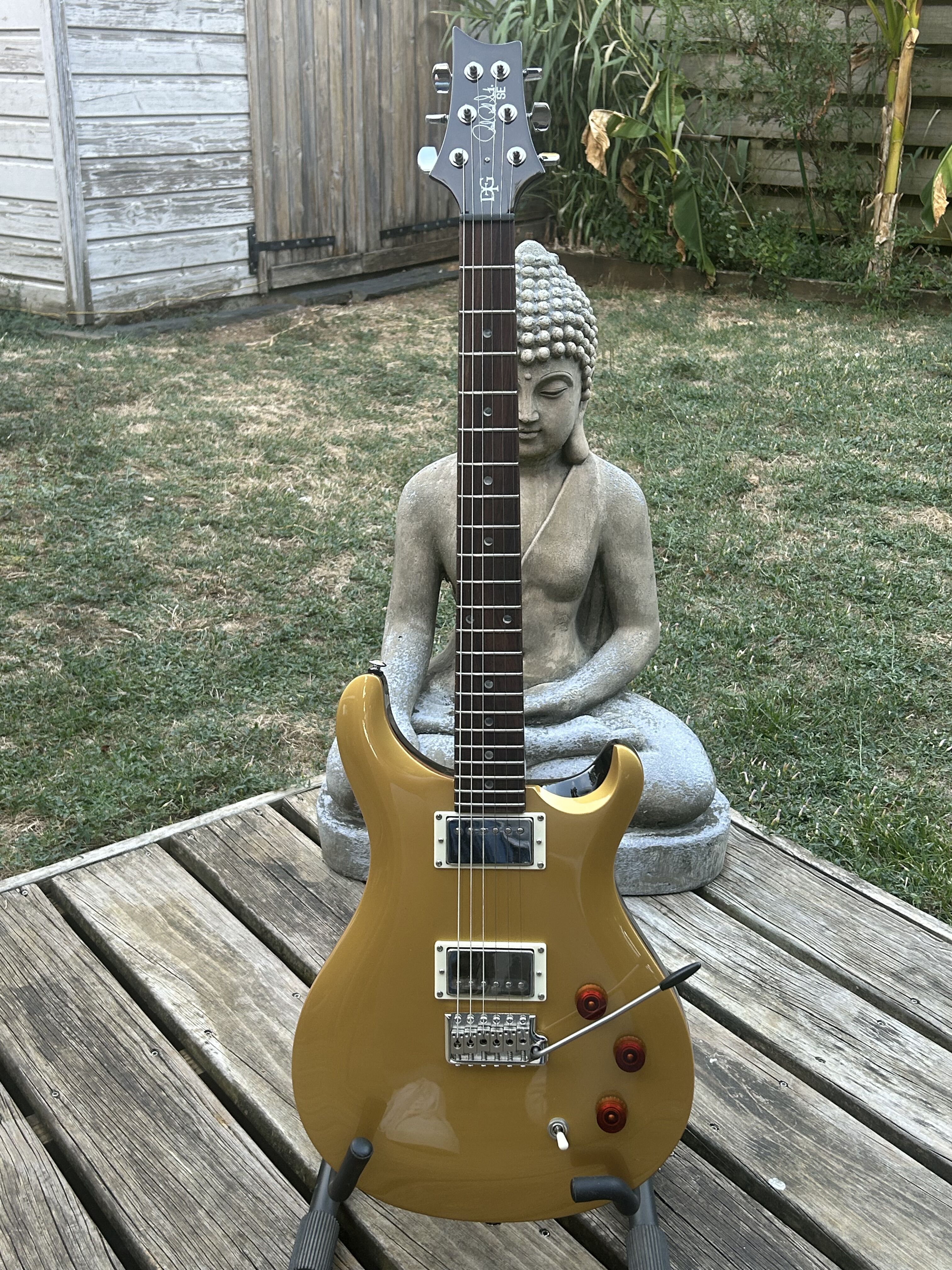 PRS SE DGT (38216)