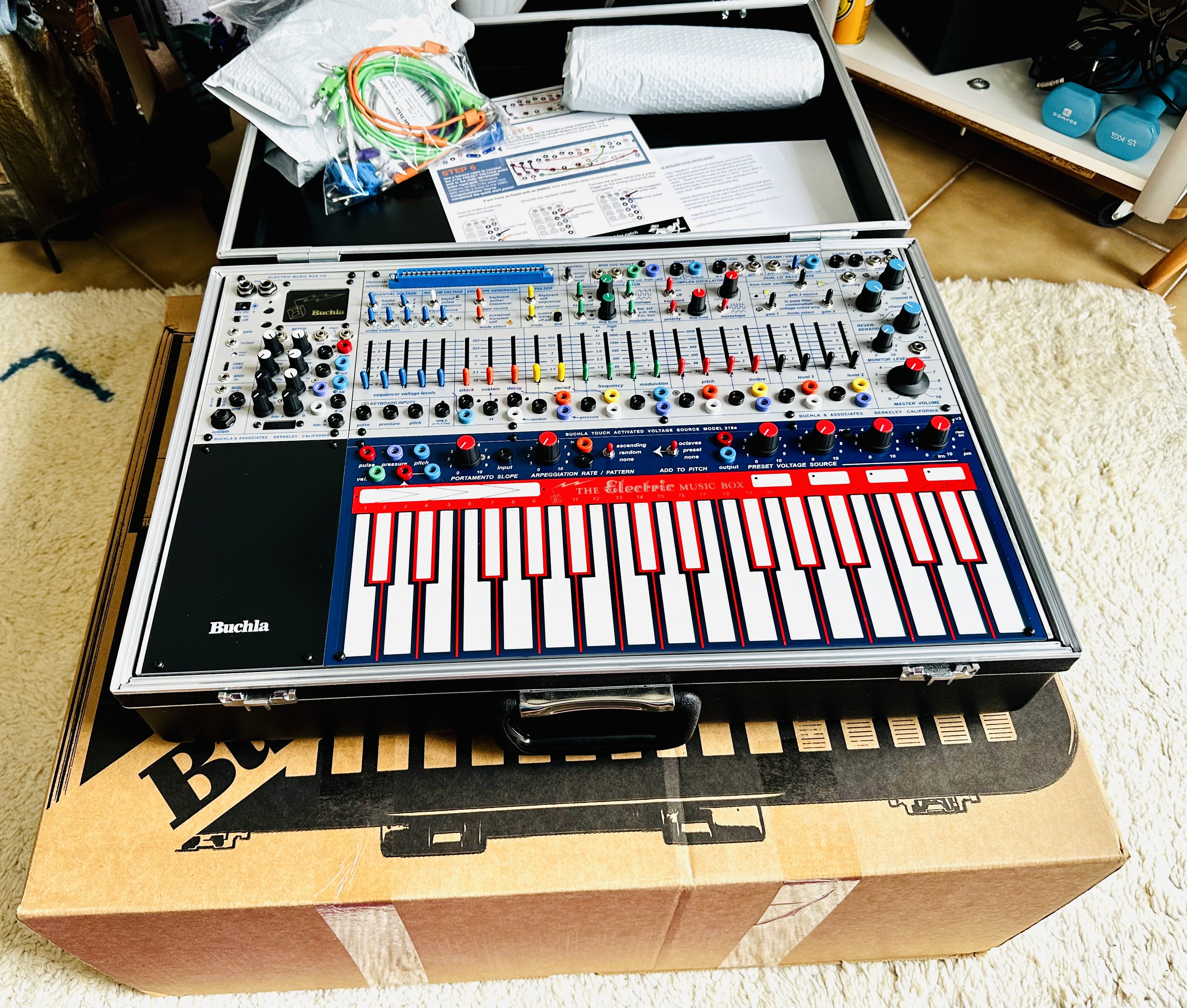 Buchla easel modern 