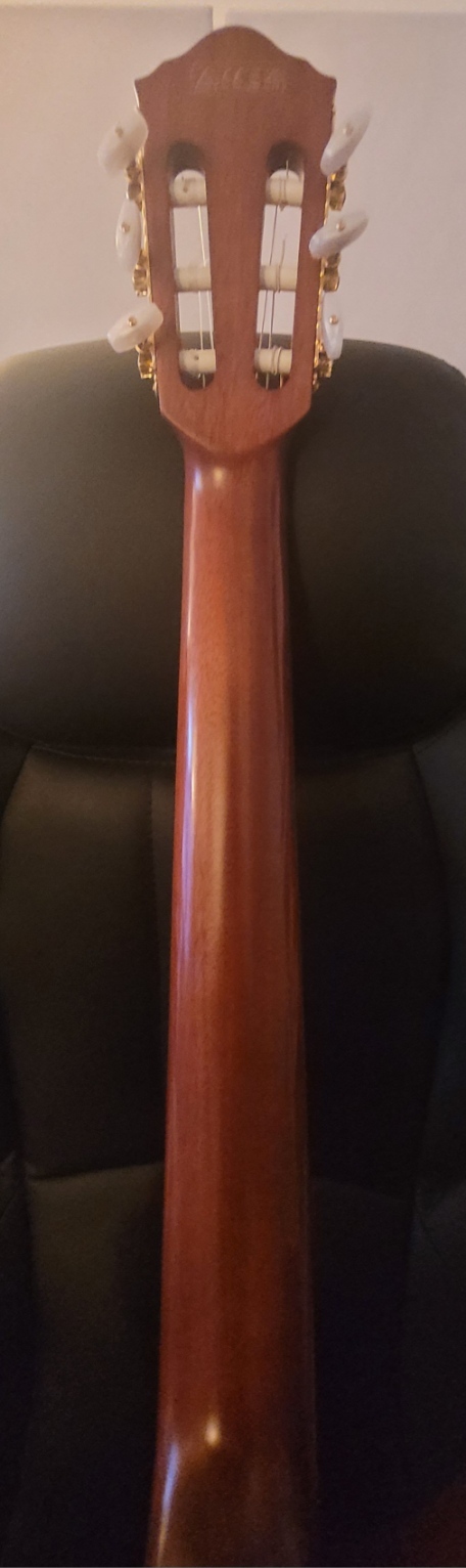 IBZ FRH20-Back2