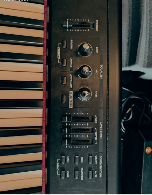 Roland RD-300NX (6359)