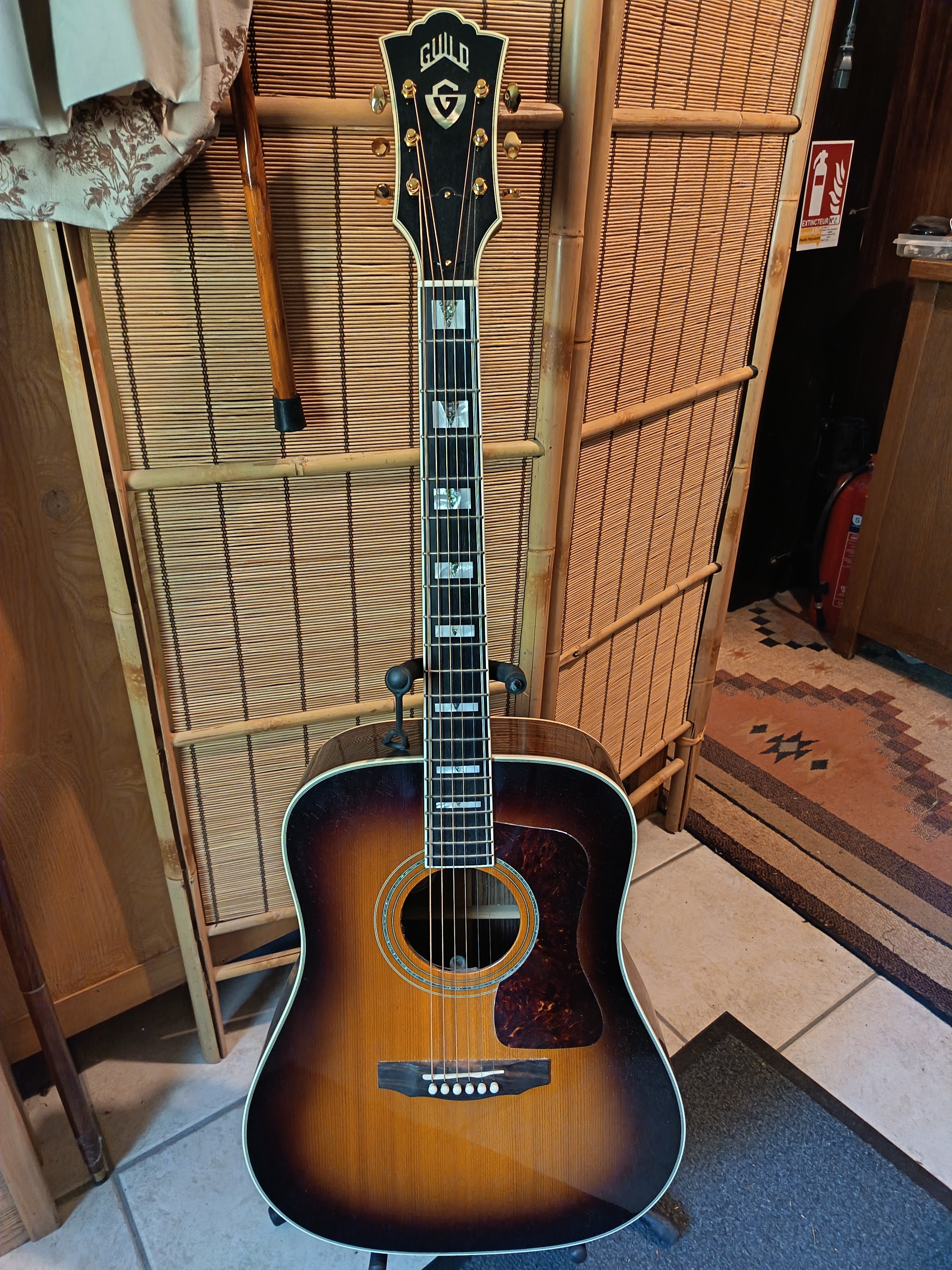 Guild D55 + étui de voyage