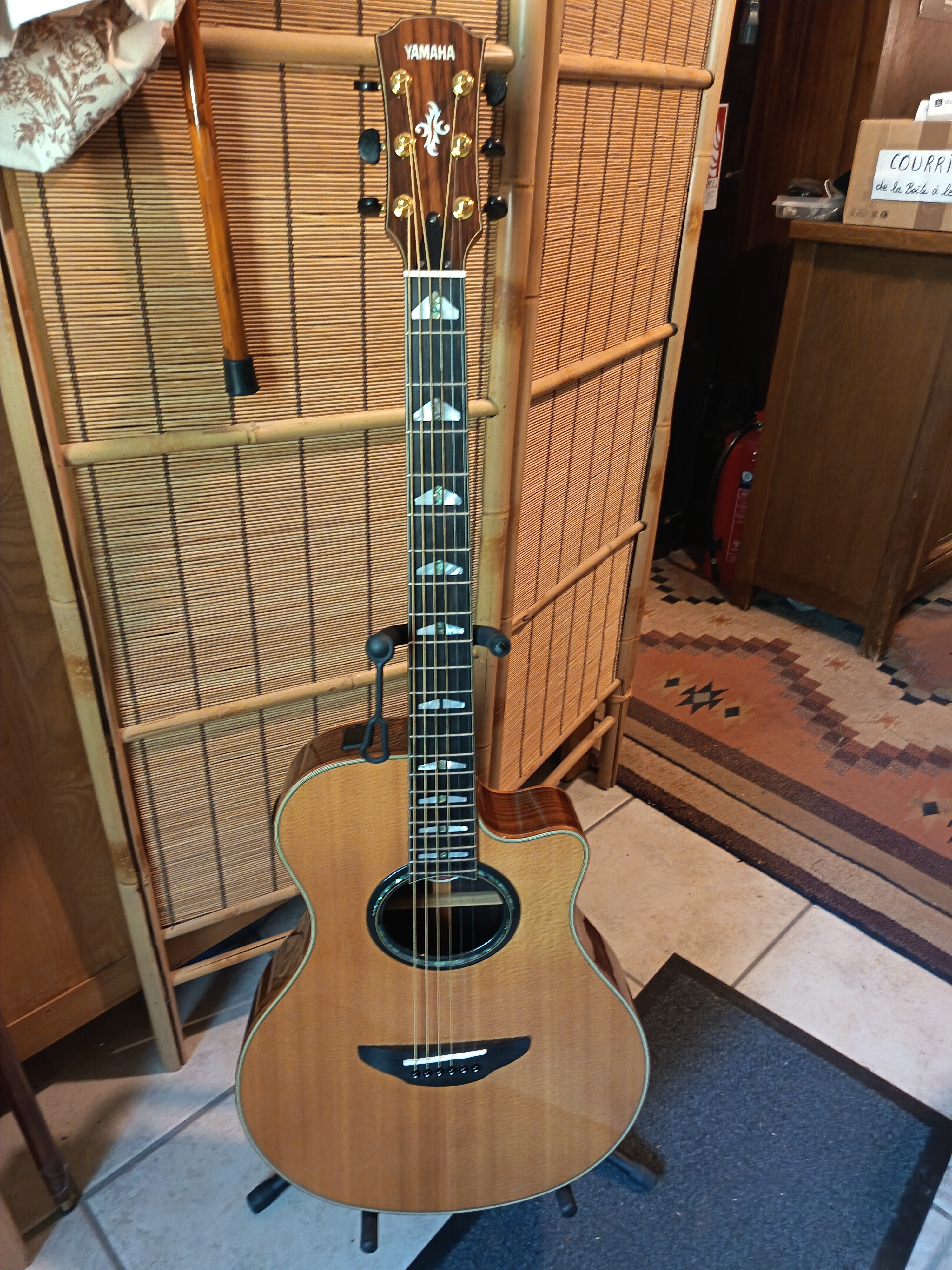Yamaha APX1200 NT + étuid de voyage