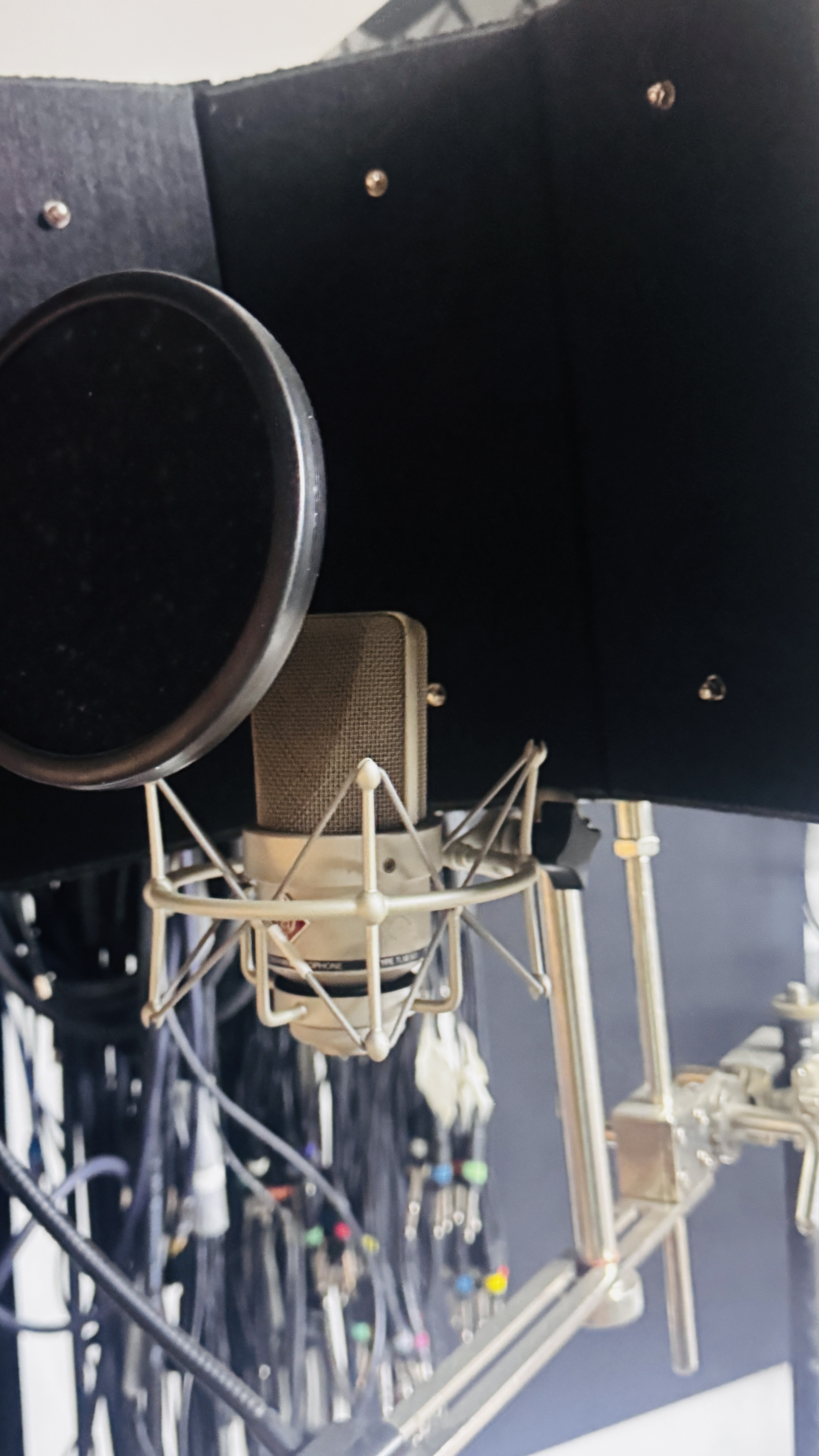 Neumann TLM 103 + suspension + Reflexion Filter + pied – Pack complet