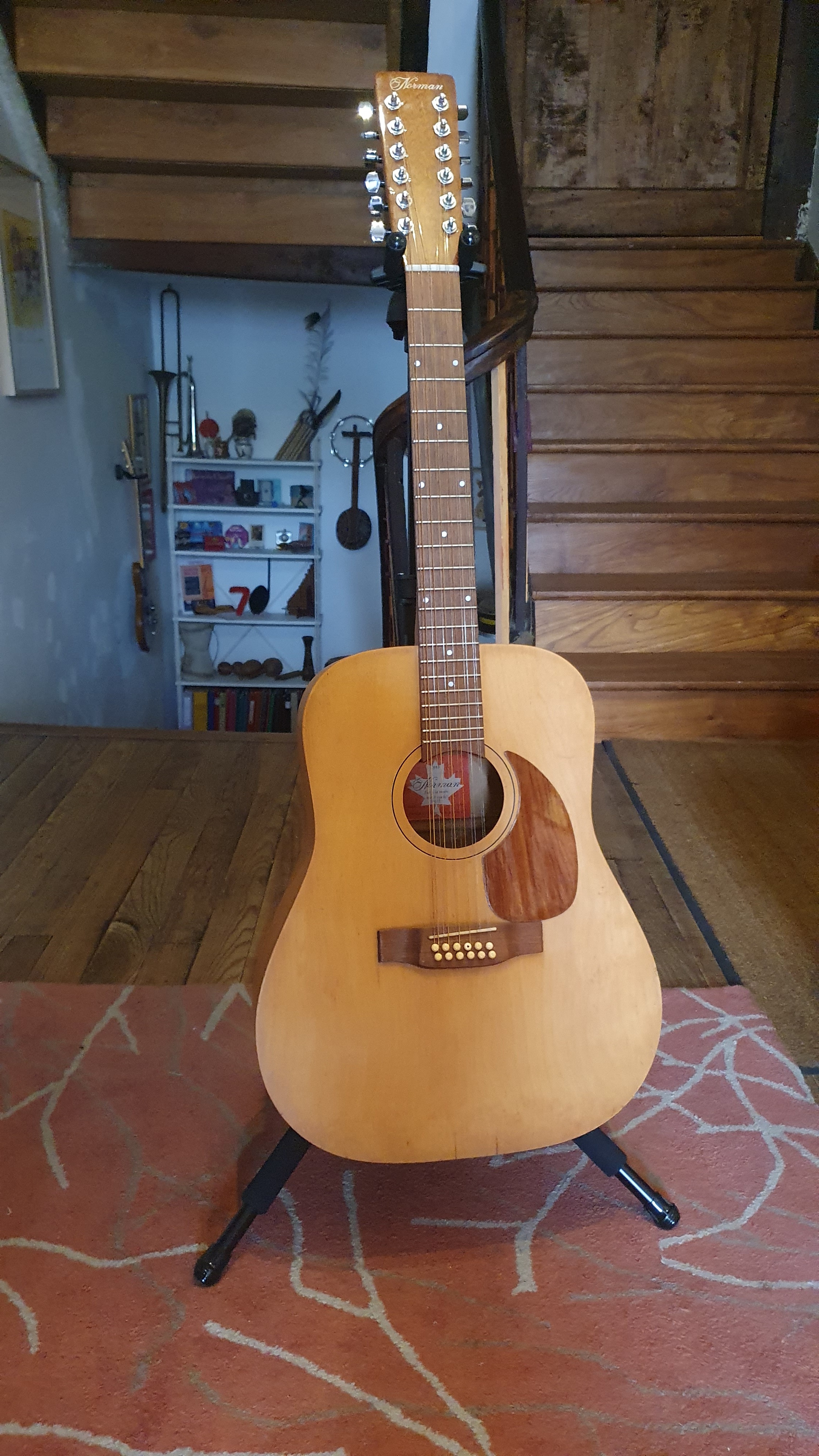 GUITARE NORMAN 12 cordes B20-12 