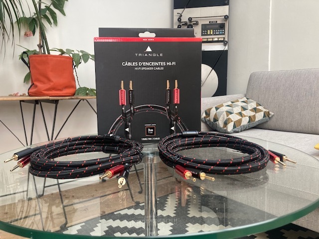 Vends câbles d'enceinte HI-FI Triangle 3m