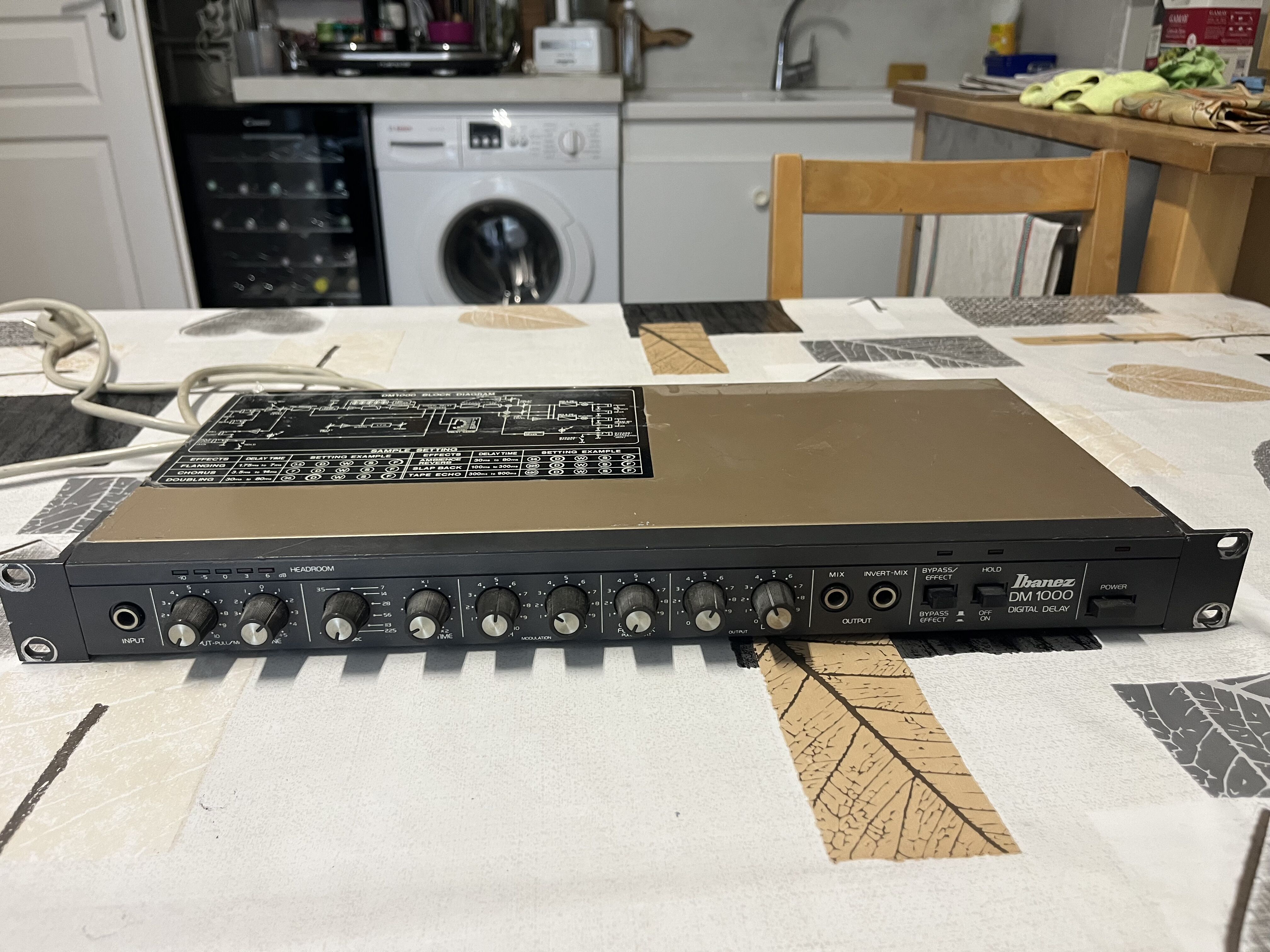 Vends Ibanez DM-1000