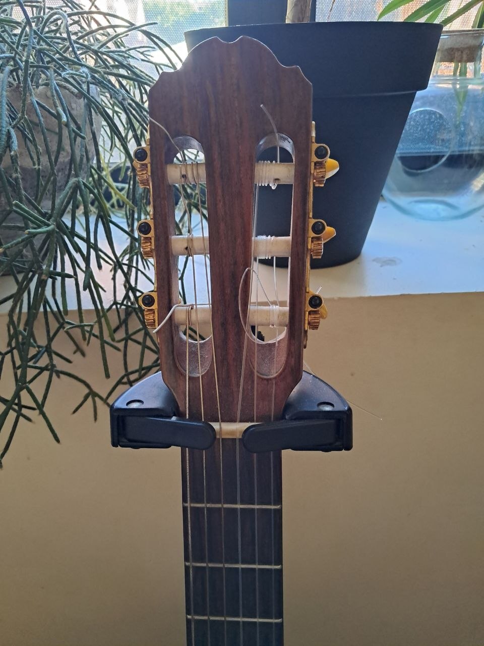 Guitare Kremona 3