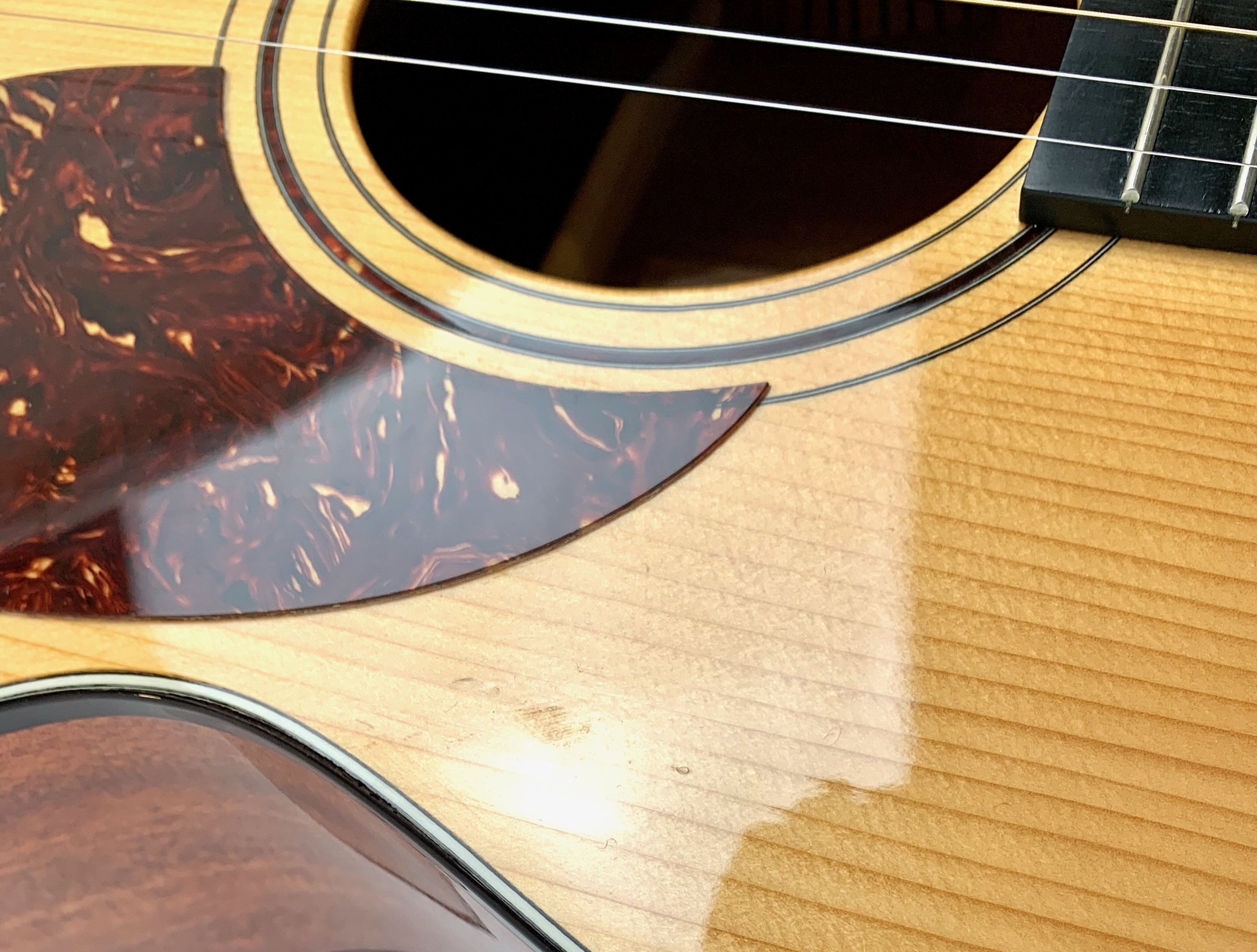 Guitares Boucher Studio Escrito Goose Dreadnought (85564)