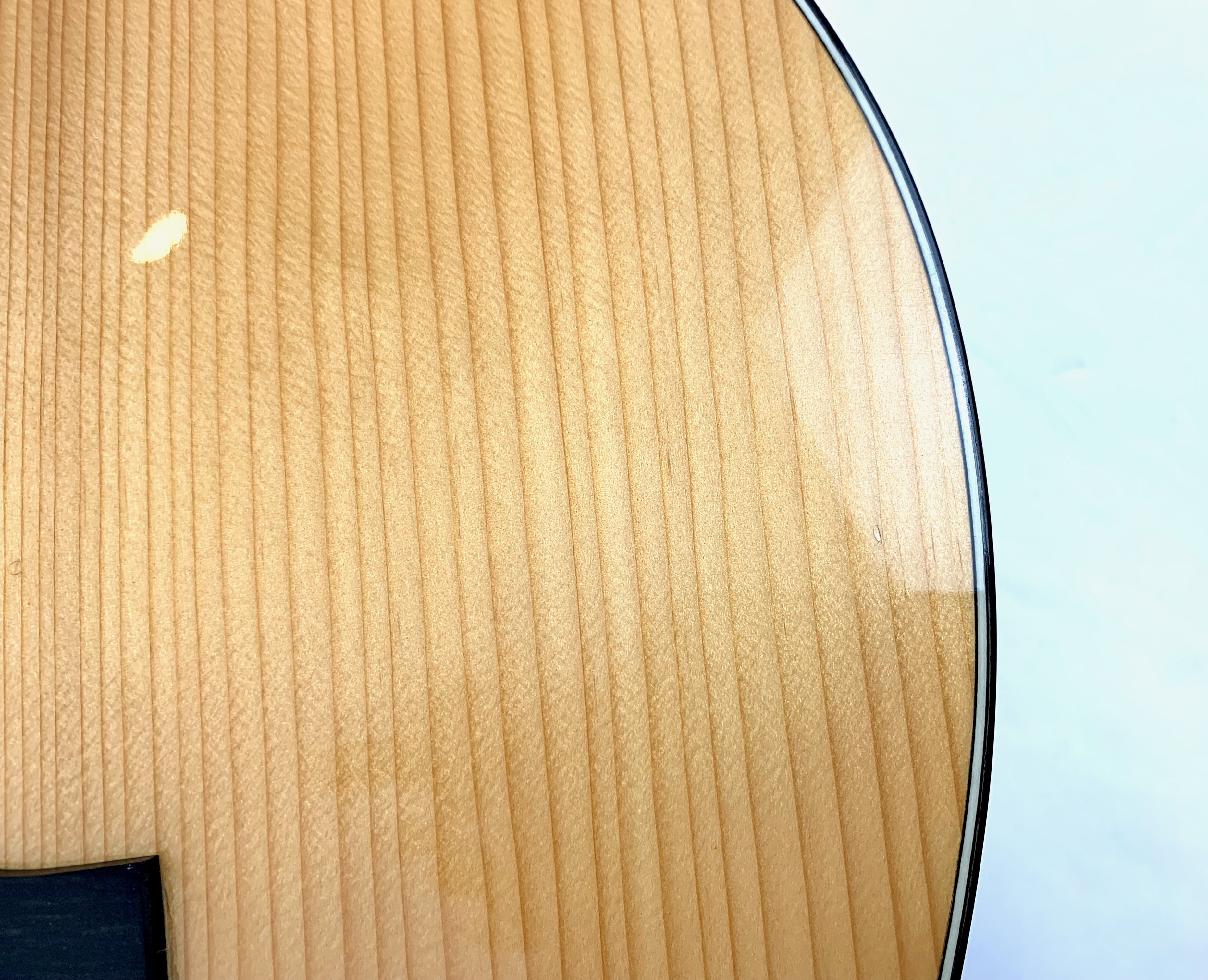 Guitares Boucher Studio Escrito Goose Dreadnought (1688)