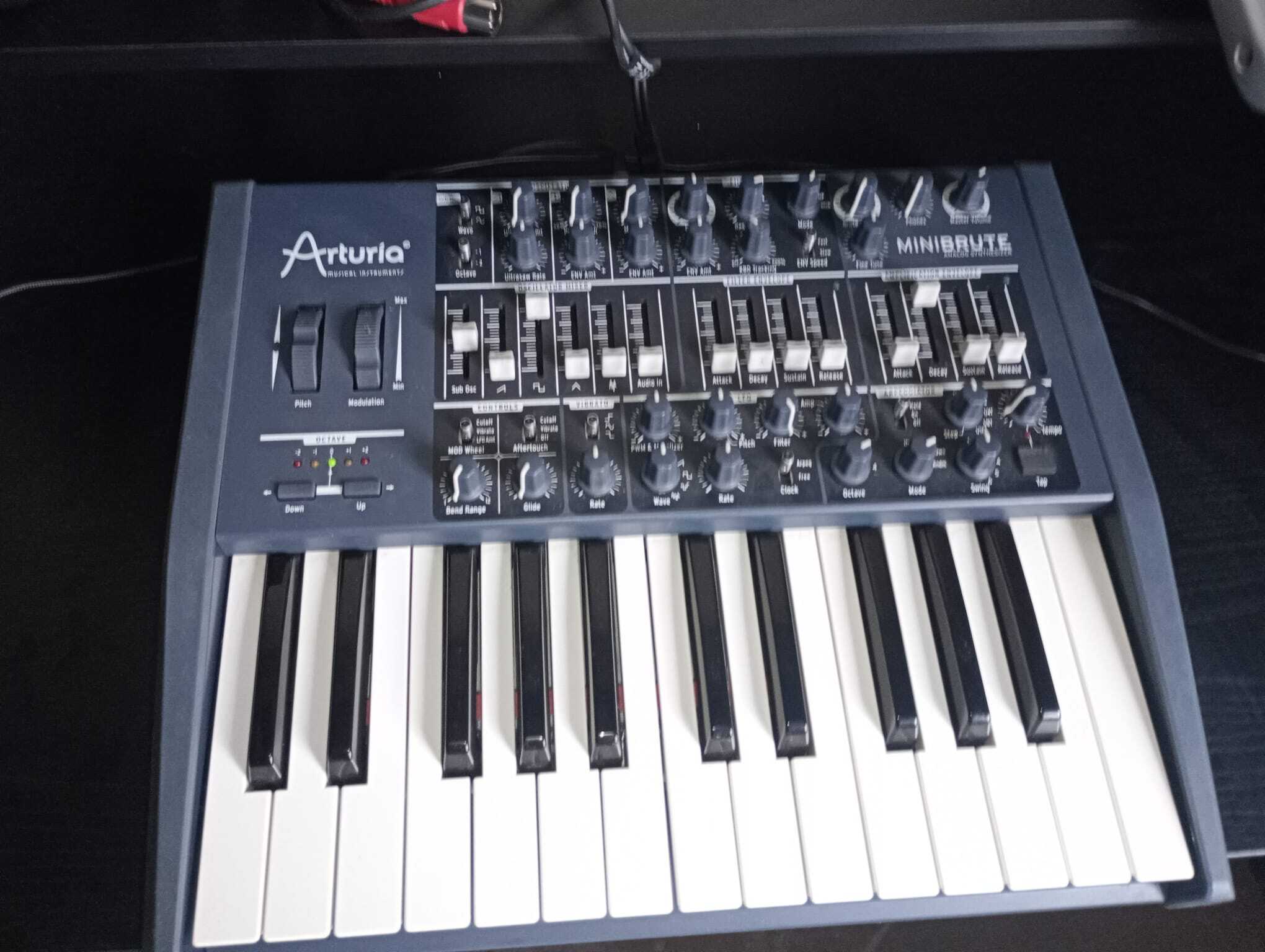 minibrute