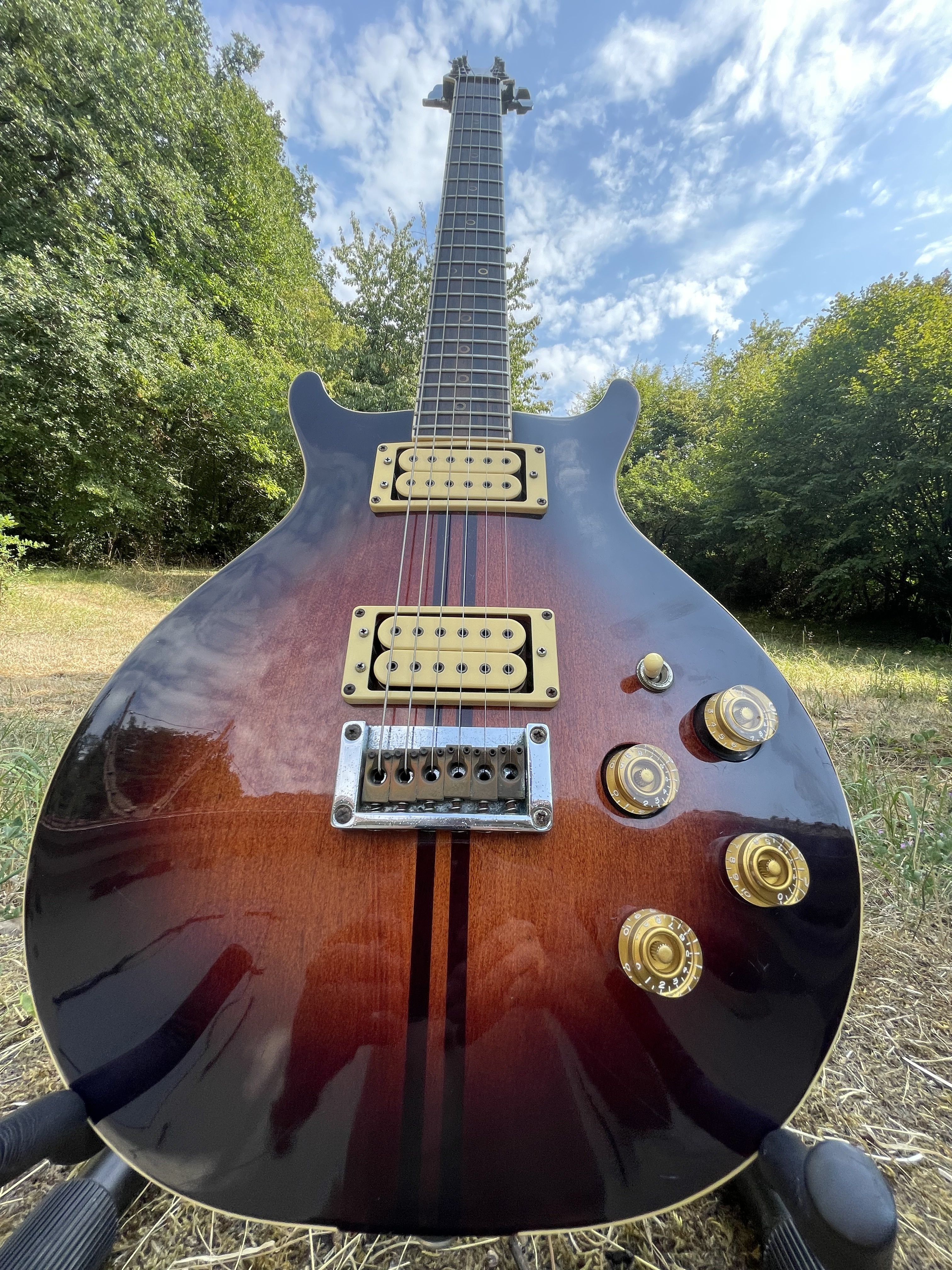 Washburn Falcon (Wing Series) 1979 - Made in Japan - 100% d’origine