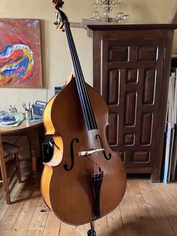 A vendre contrebasse 3/4+ stand + housse