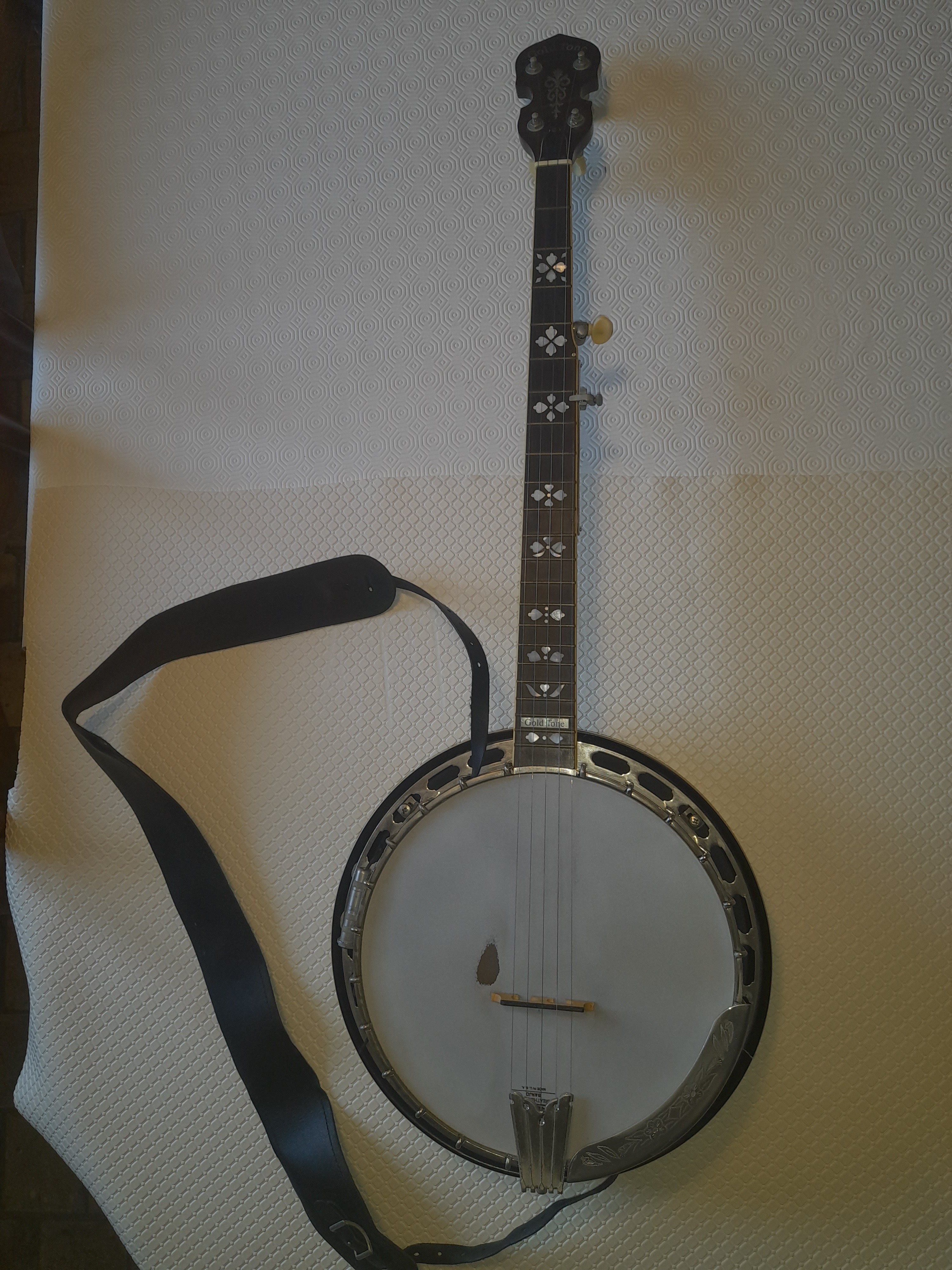 Banjo Gaucher 5 Cordes OB-250 LH serial # 2603038