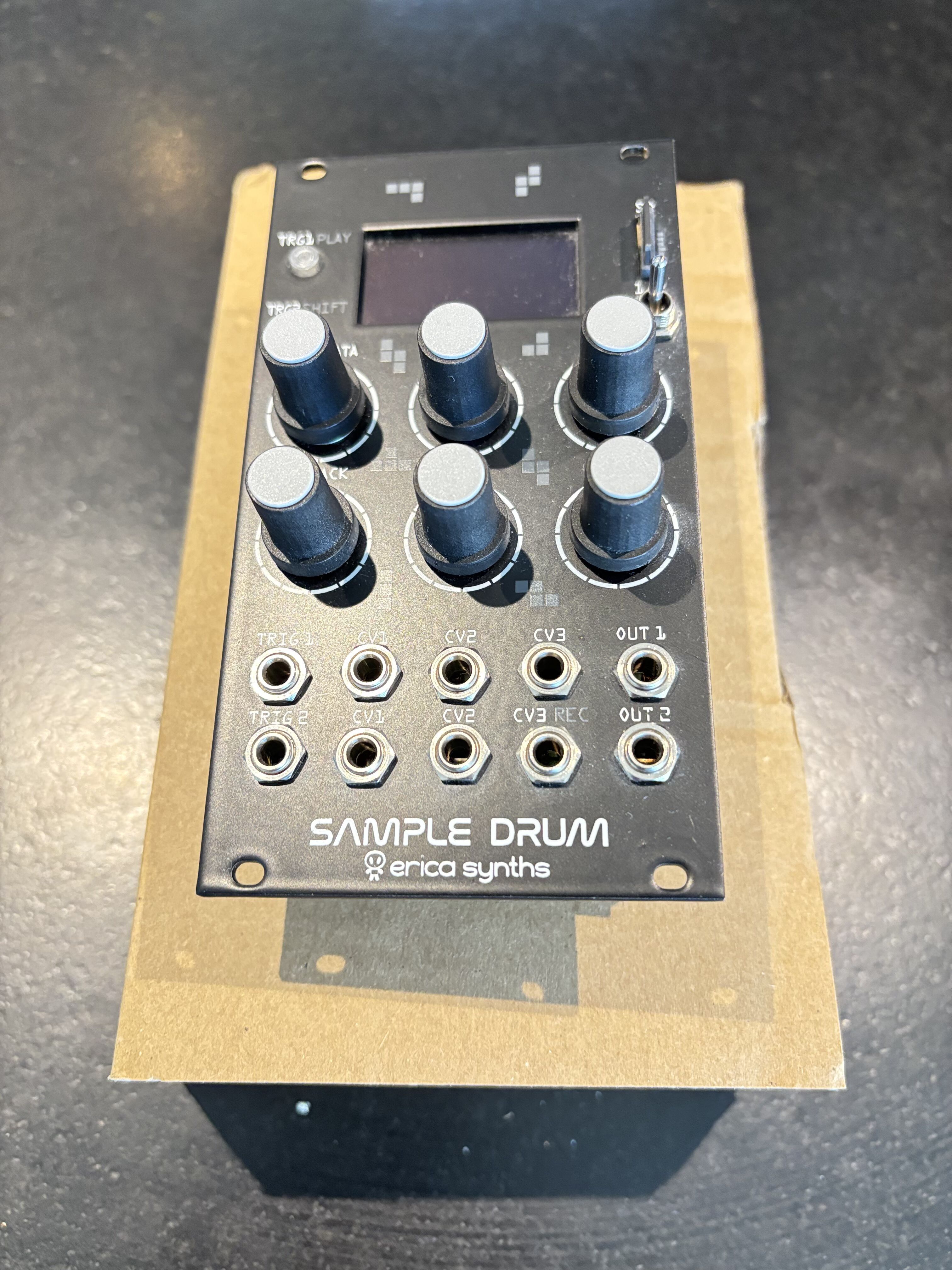 Erica Sample Drum