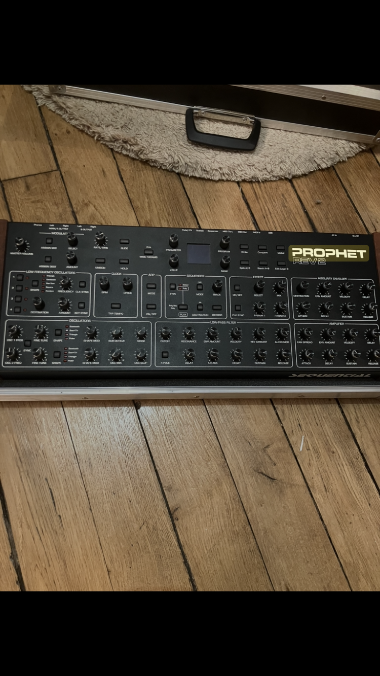 Dave Smith Instruments Prophet Rev2 Module 8 voix (67295)