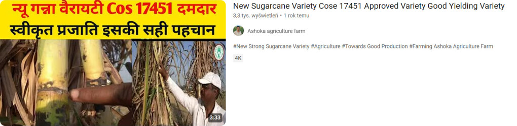 6912884.jpg 6912884.jpg