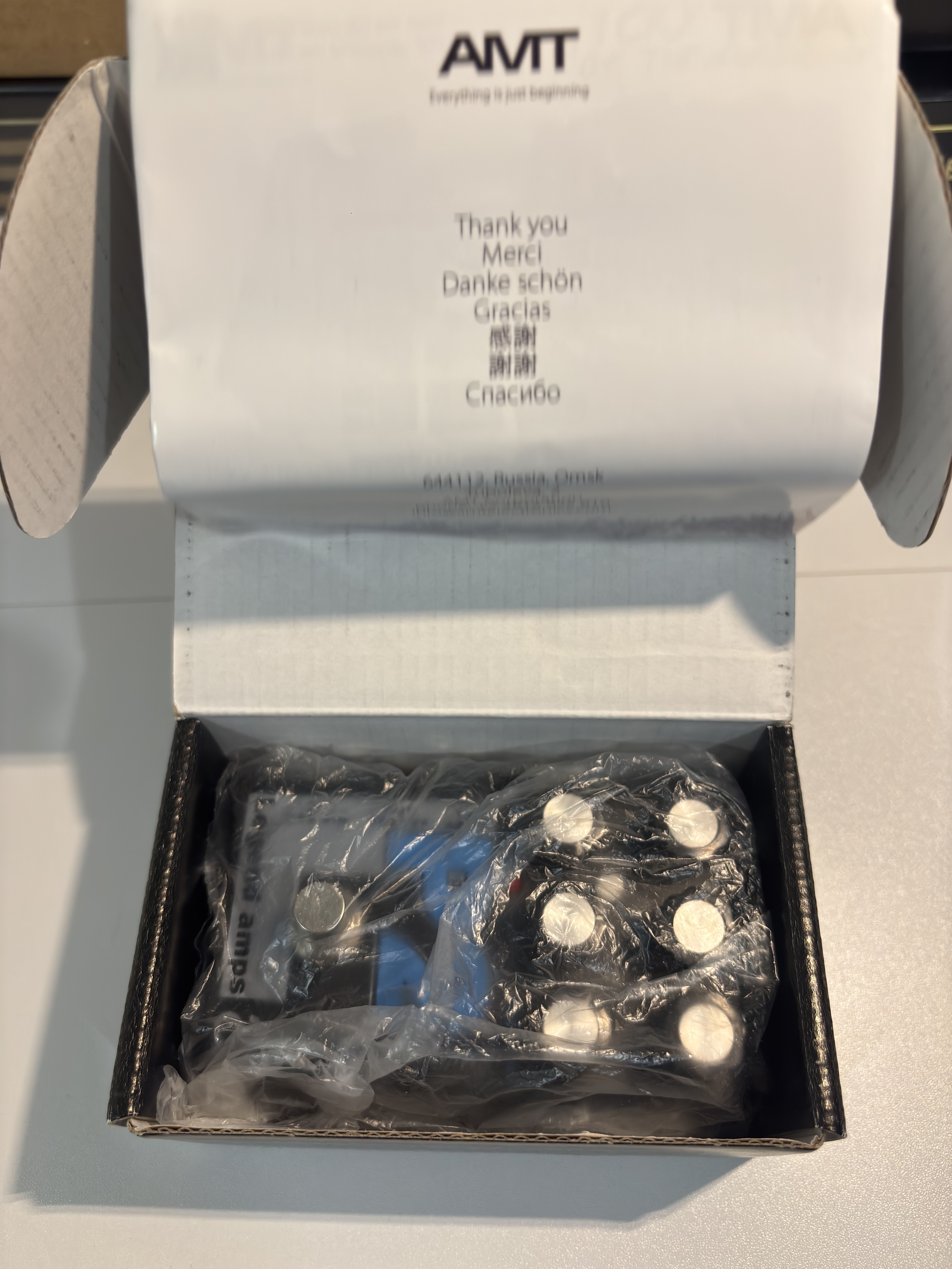 Amt Electronics P2 Peavey 6505 (8676)