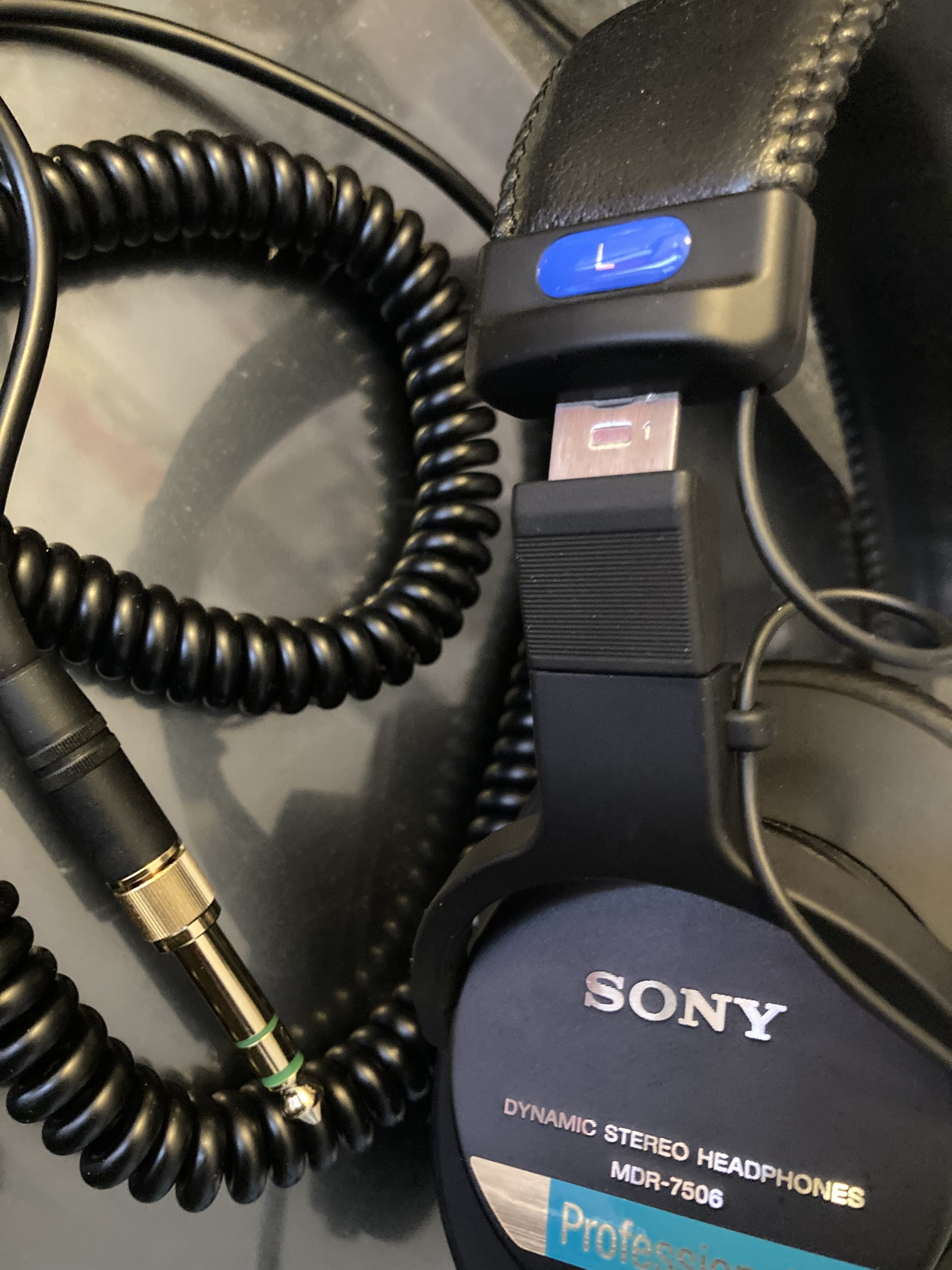 IMG 2381