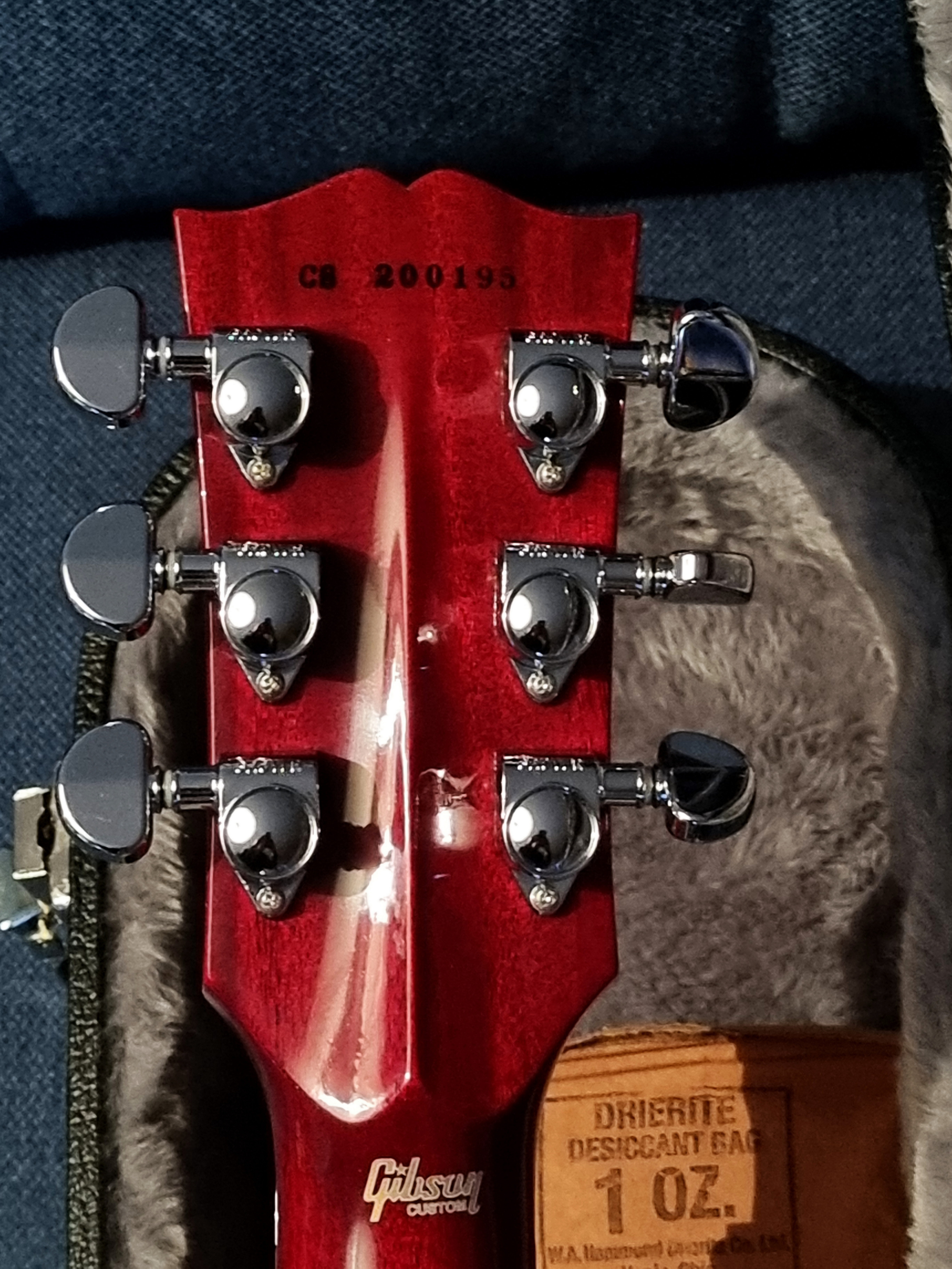 Gibson Les Paul Custom Axcess Floyd (22309)