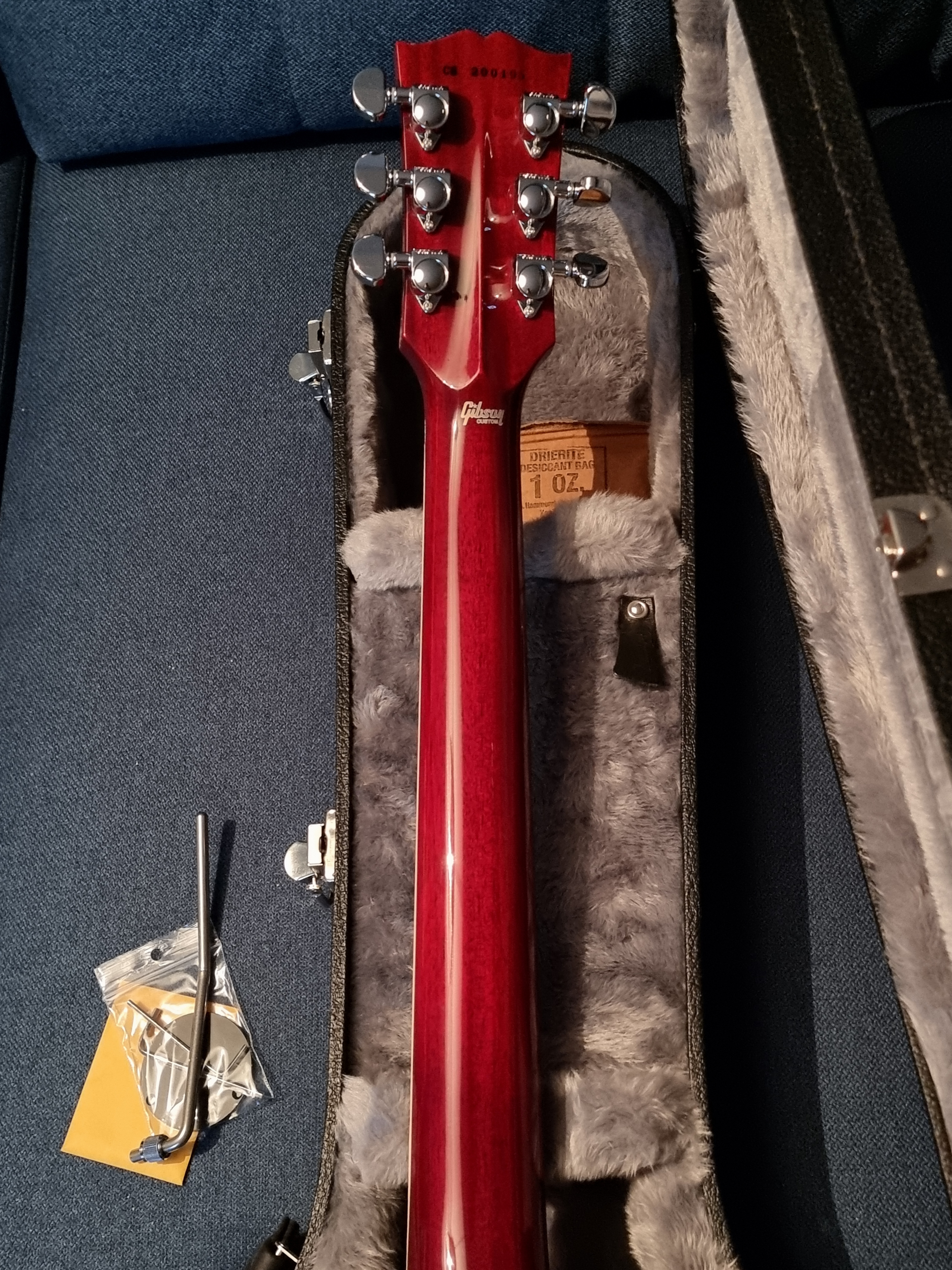 Gibson Les Paul Custom Axcess Floyd (85648)