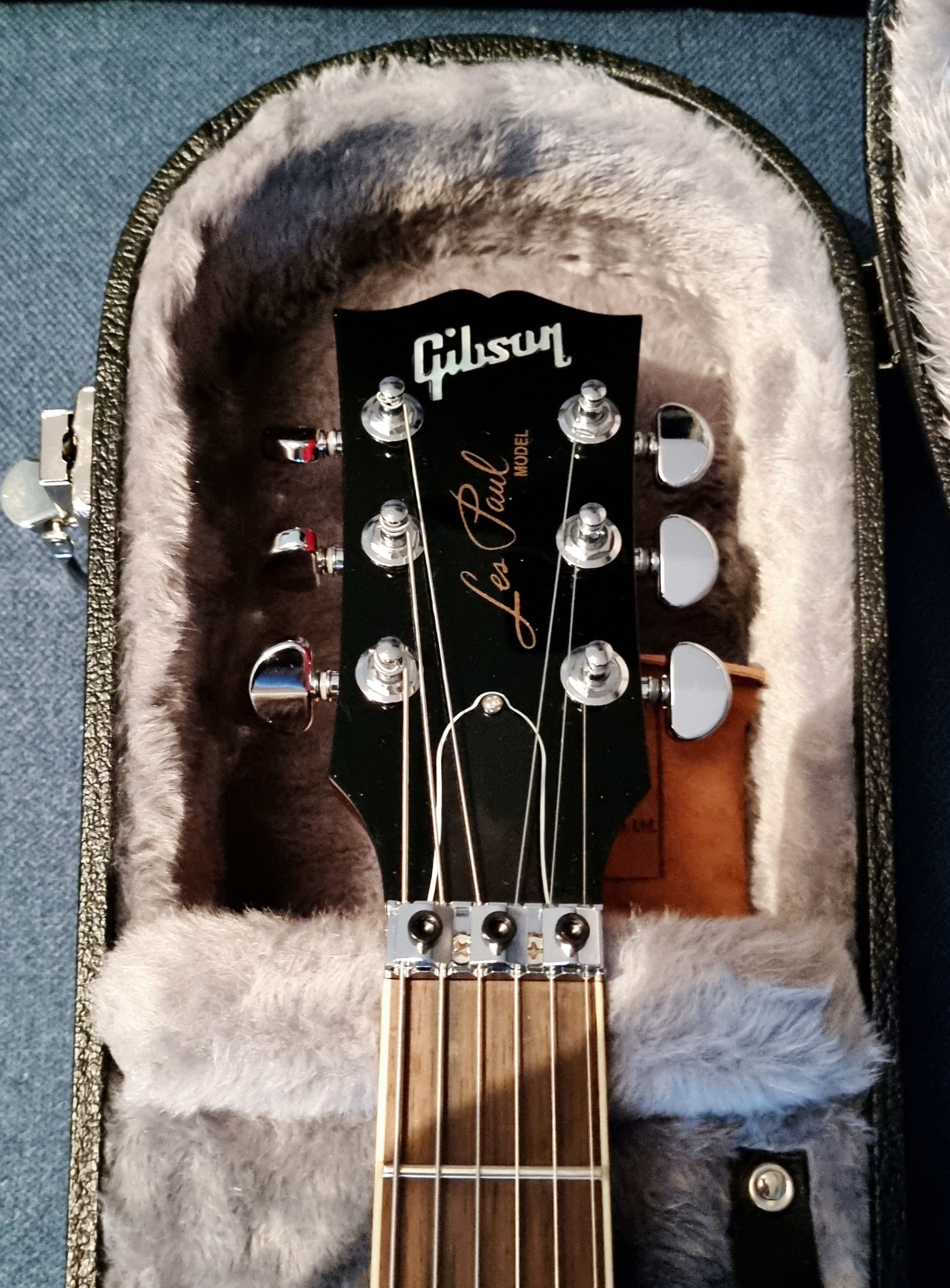 Gibson Les Paul Custom Axcess Floyd (45194)
